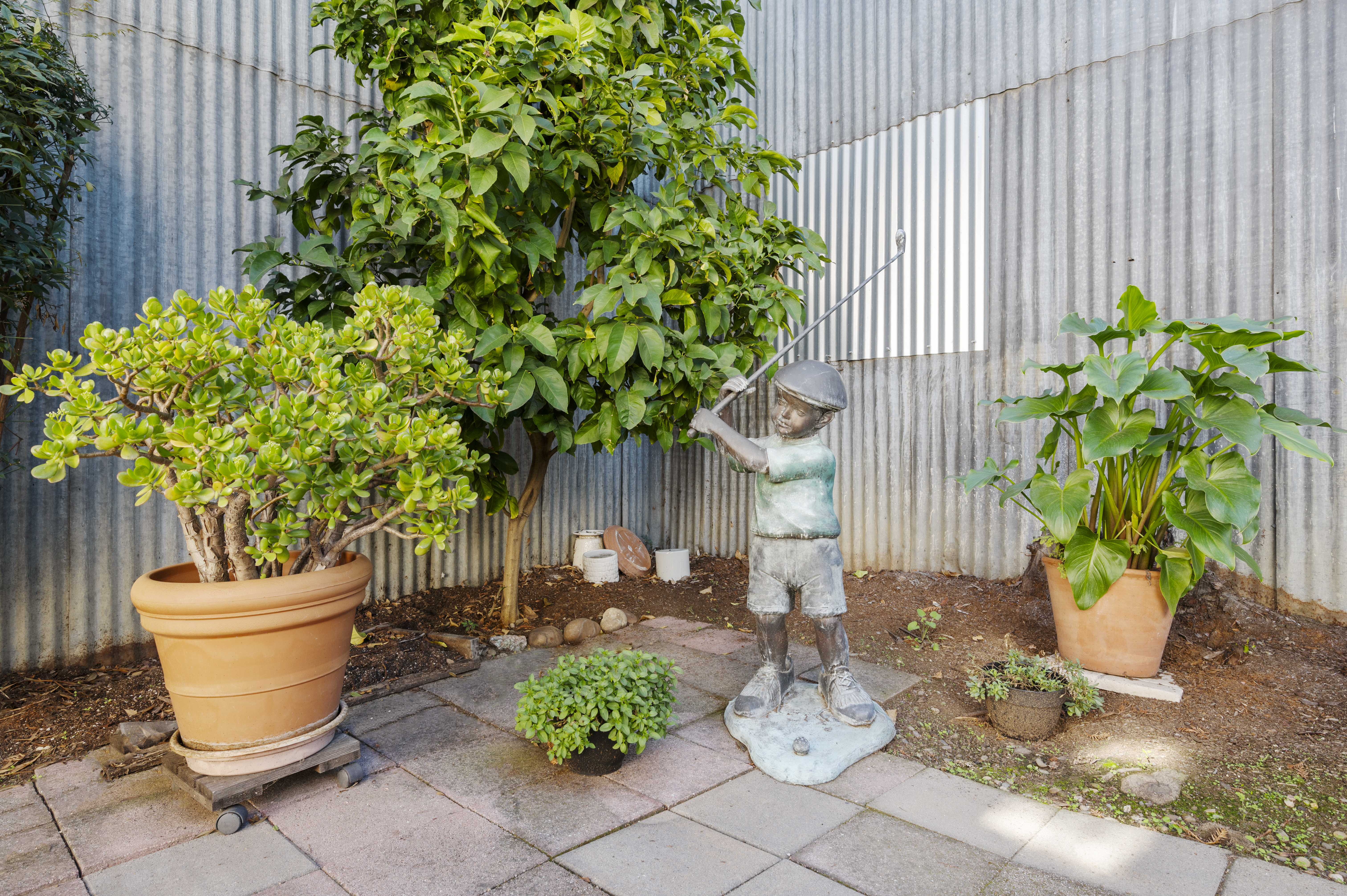  Investment Opportunity in the Heart of Downtown Napa - 物件實景