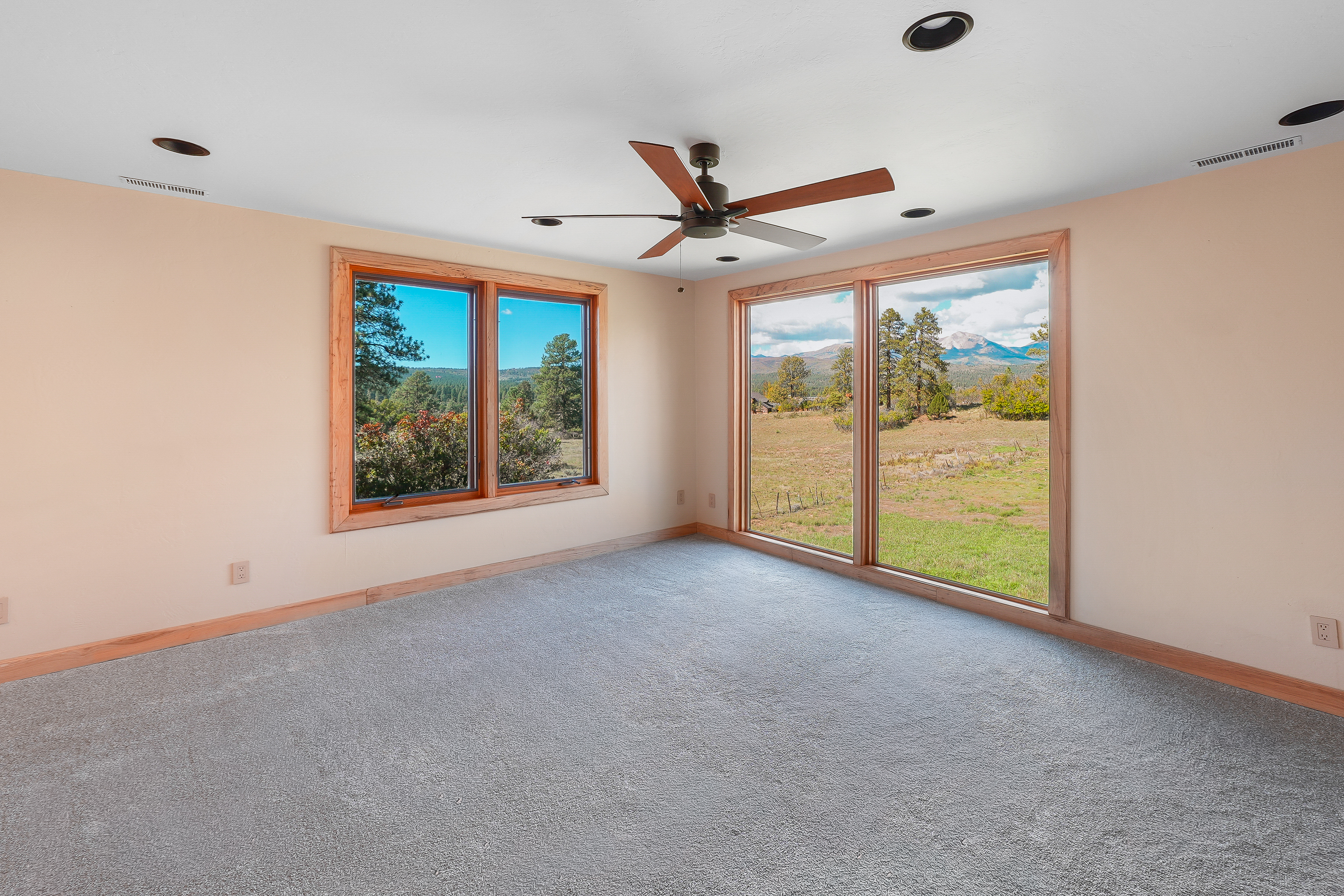  217 South Elk Run, Durango, CO 81303 - 物件實景