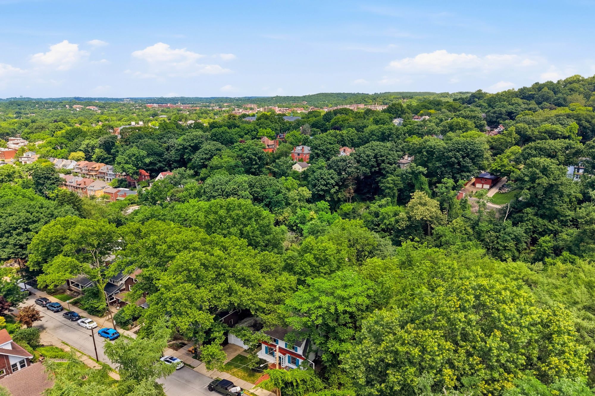  235 Oakview Avenue, Pittsburgh, PA 15218 - 物件實景