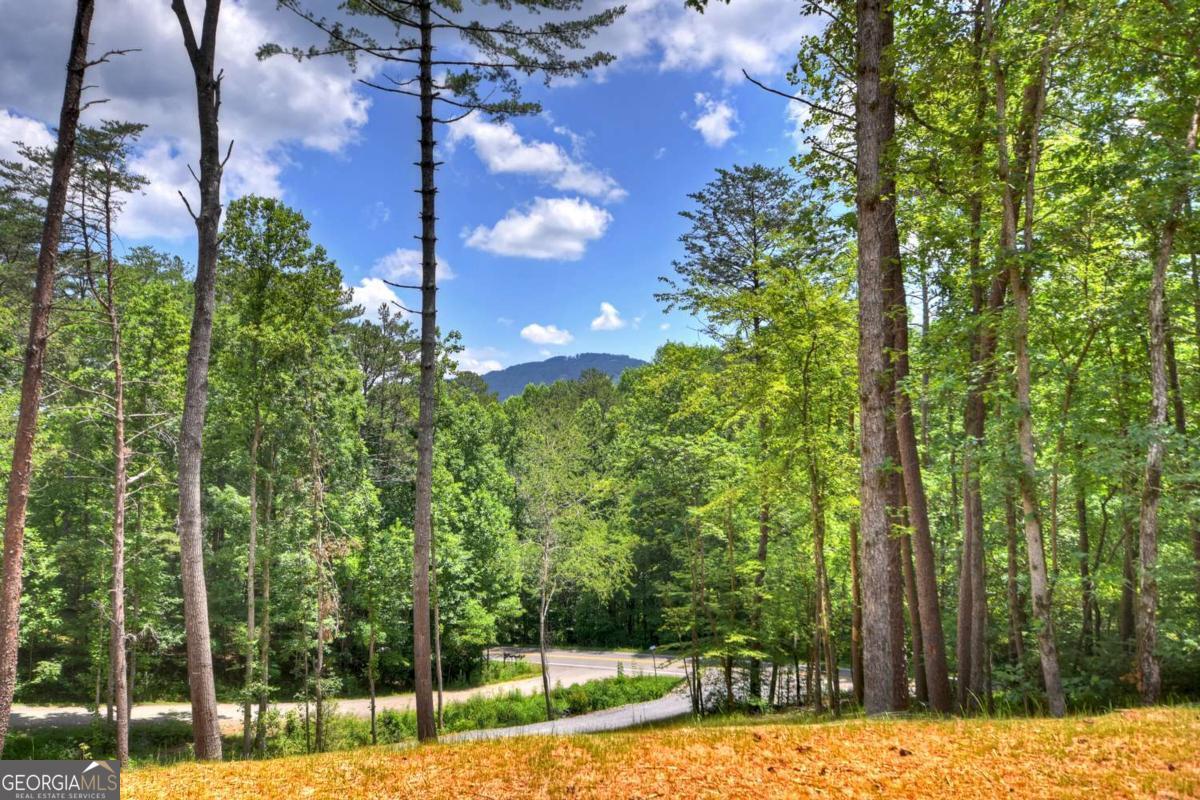 Mineral Bluff, Georgia, 30559, United States, 3 Bedrooms Bedrooms, ,3 BathroomsBathrooms,Residential,For Sale,1877867