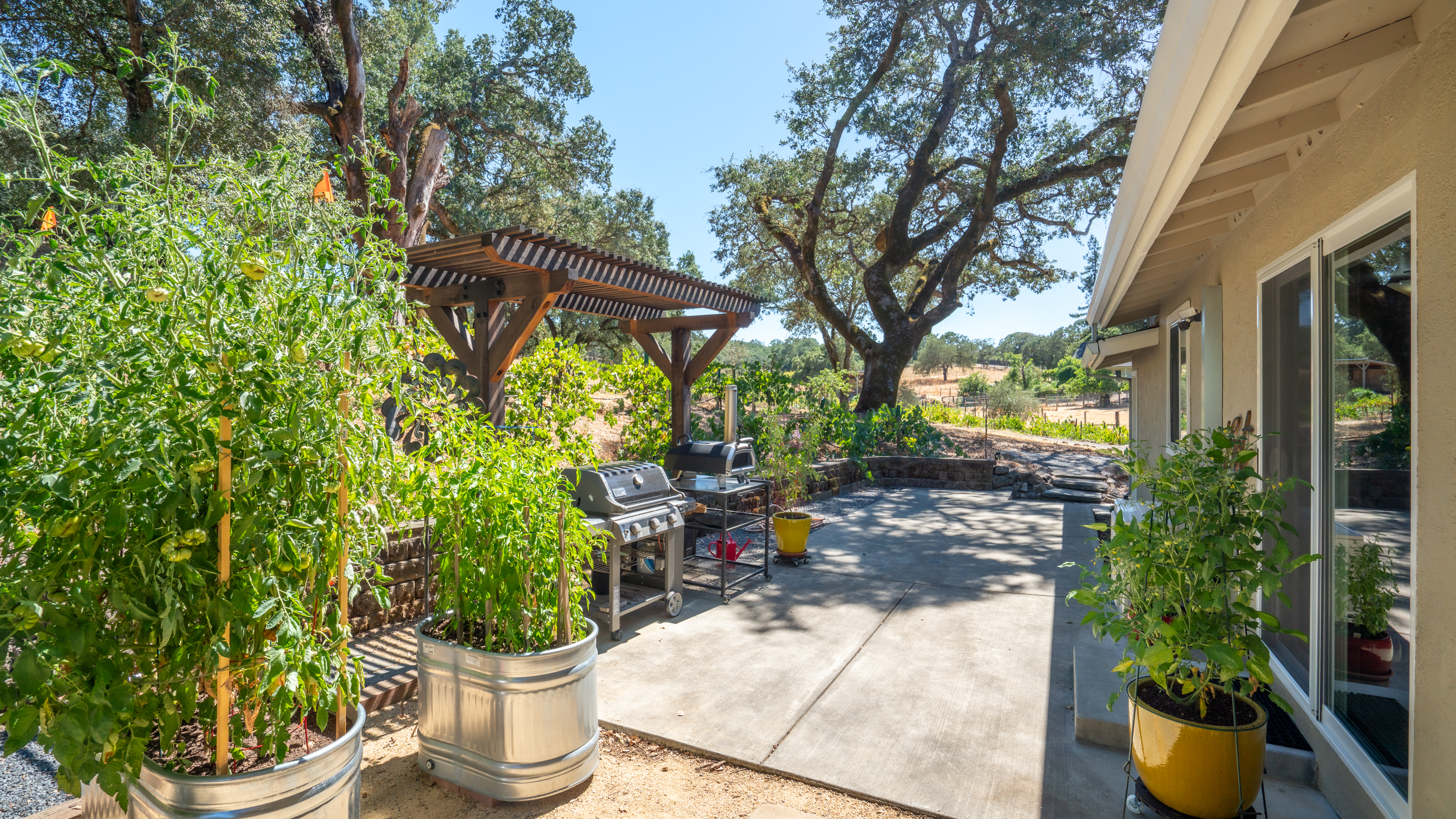  Rare Opportunity in Alexander Valley - 物件實景
