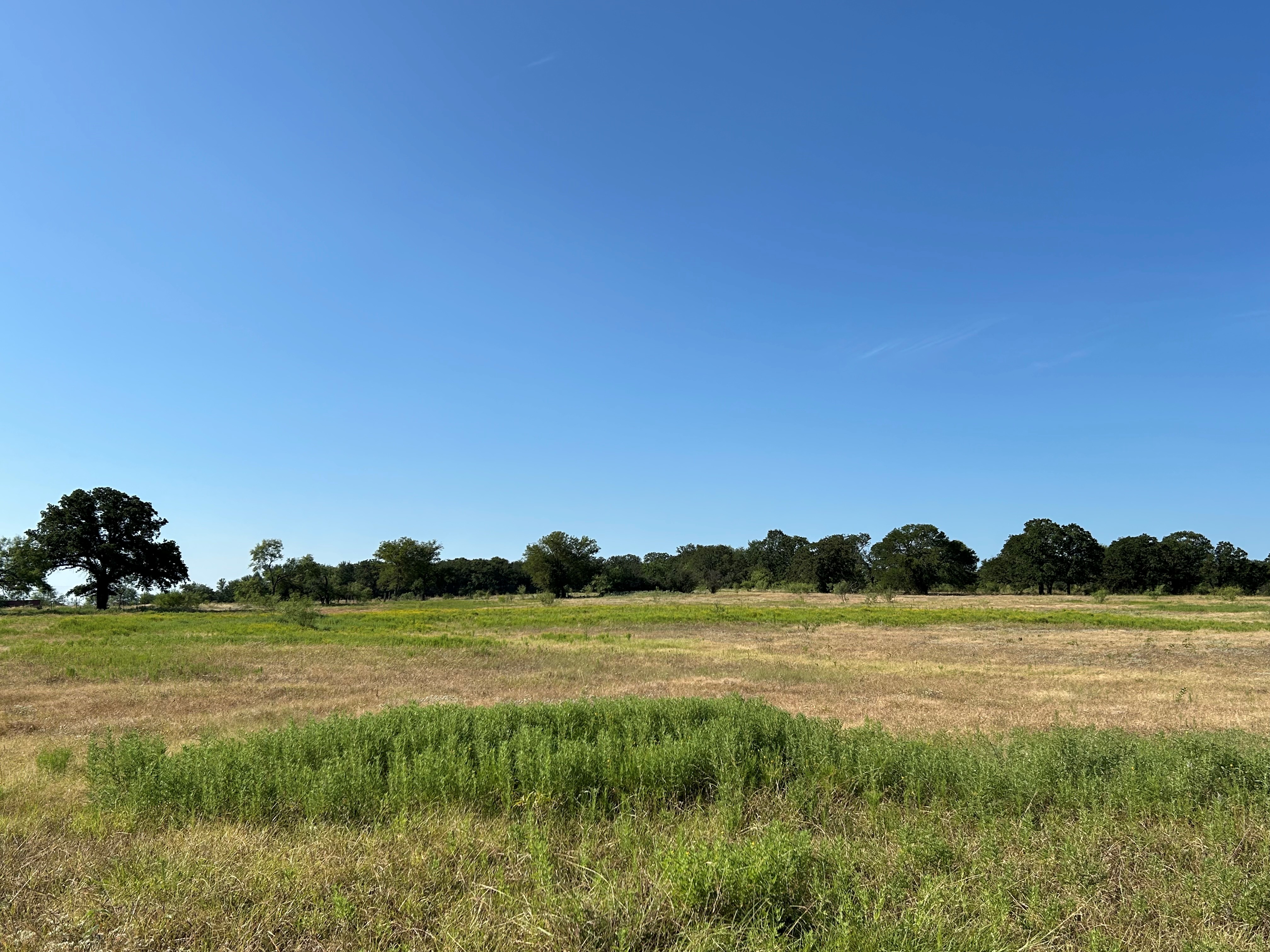 Bridgeport, Texas, 76426, United States, ,Land,For Sale,1981851