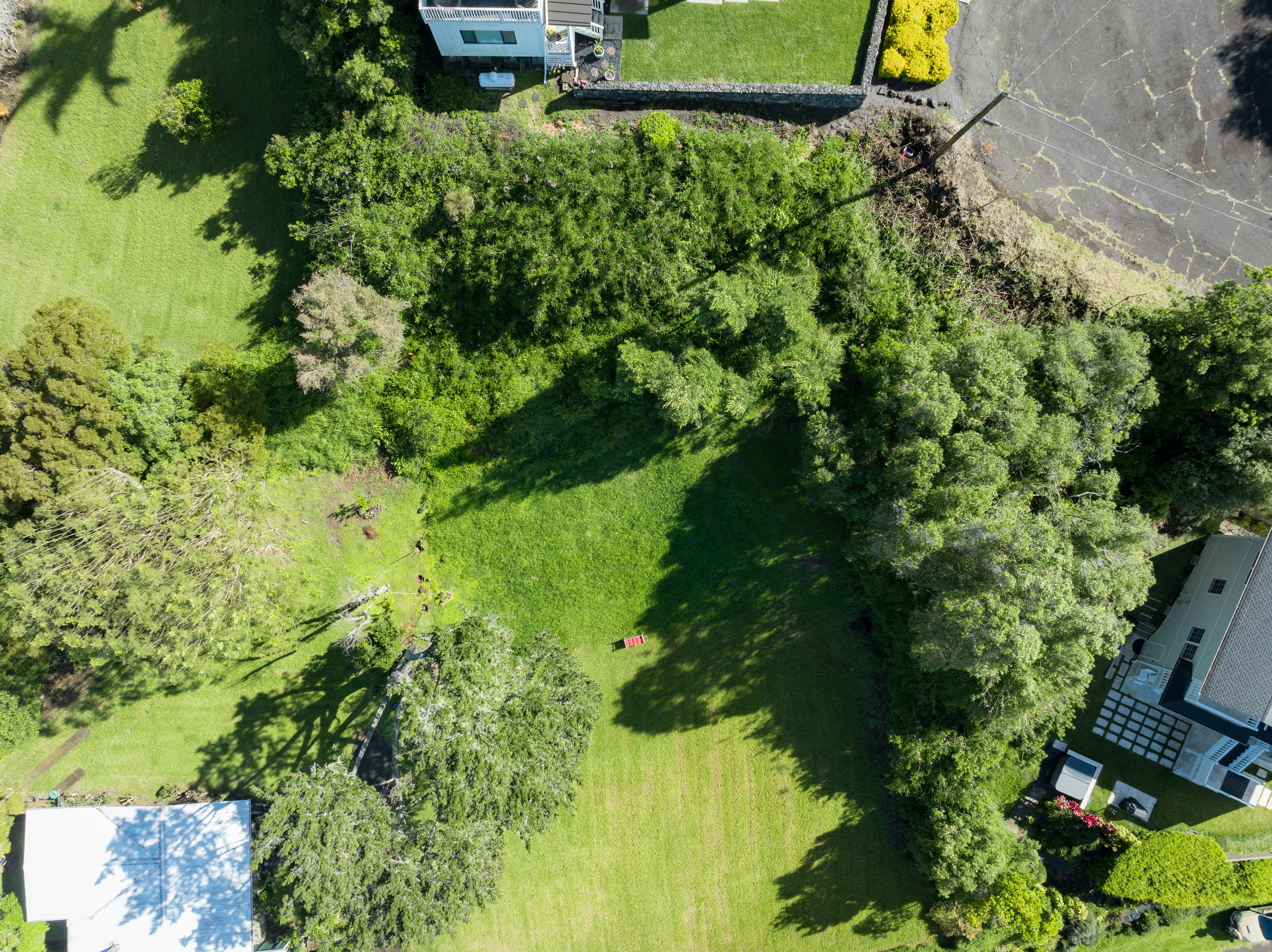  65-1228 Puuki Place, Kamuela, HI 96743 - 物件實景