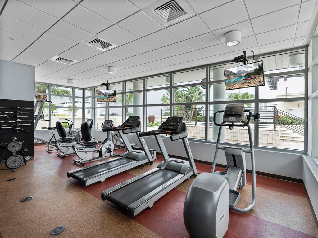 Tampa, Florida, 33602, United States, 1 Bedroom Bedrooms, ,2 BathroomsBathrooms,Residential,For Sale,1807675