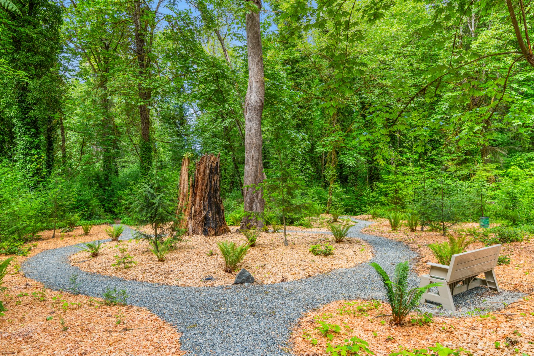  9720 NE Lofgren Rd, Bainbridge Island, WA 98110 - 物件實景