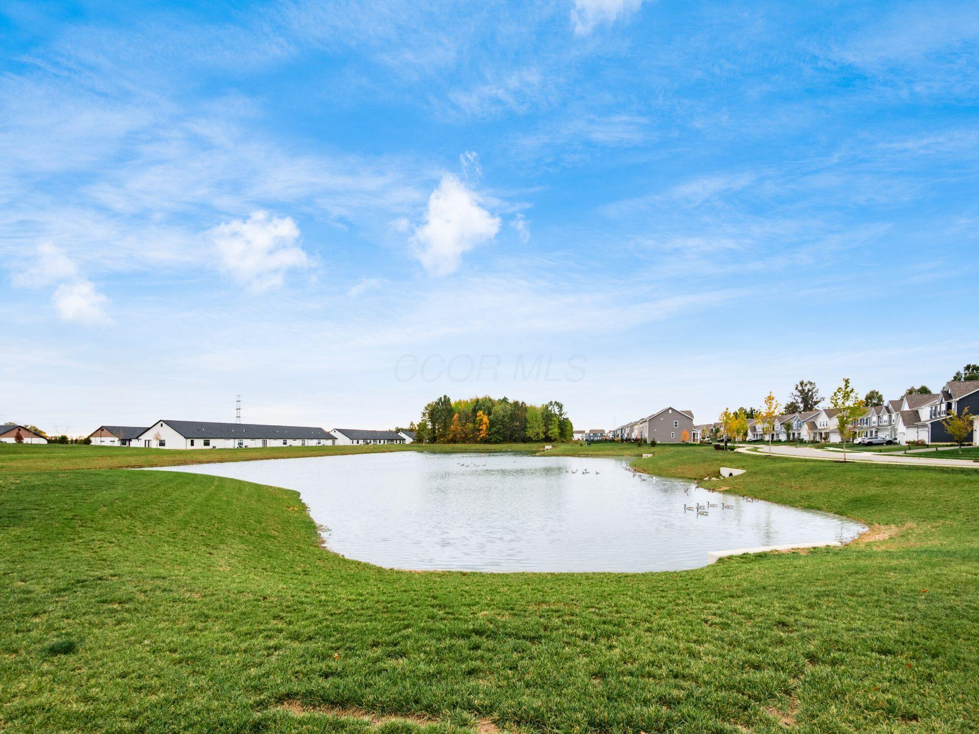 Powell, Ohio, 43065, United States, 3 Bedrooms Bedrooms, ,3 BathroomsBathrooms,Residential,For Sale,1970894