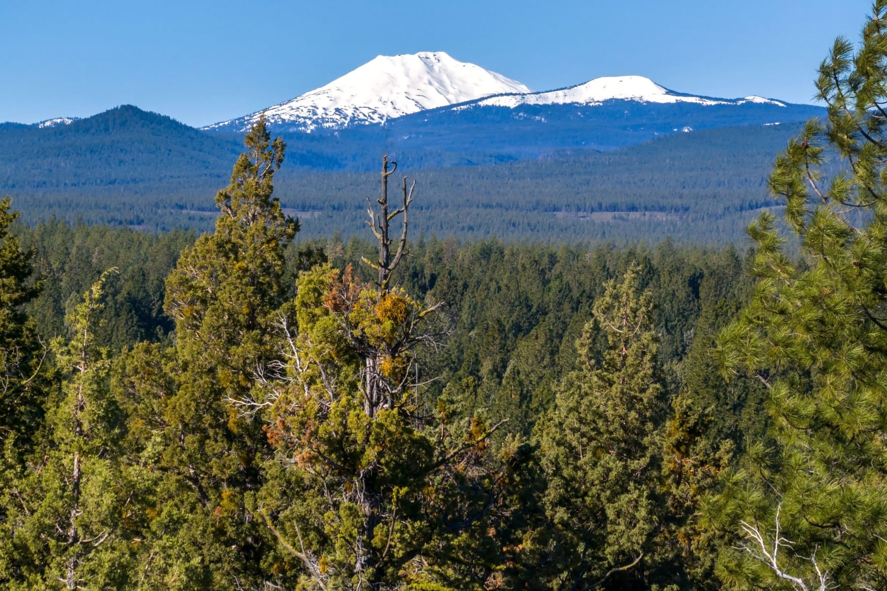  3380 NW Greenleaf Way Bend, OR 97703 - 物件實景