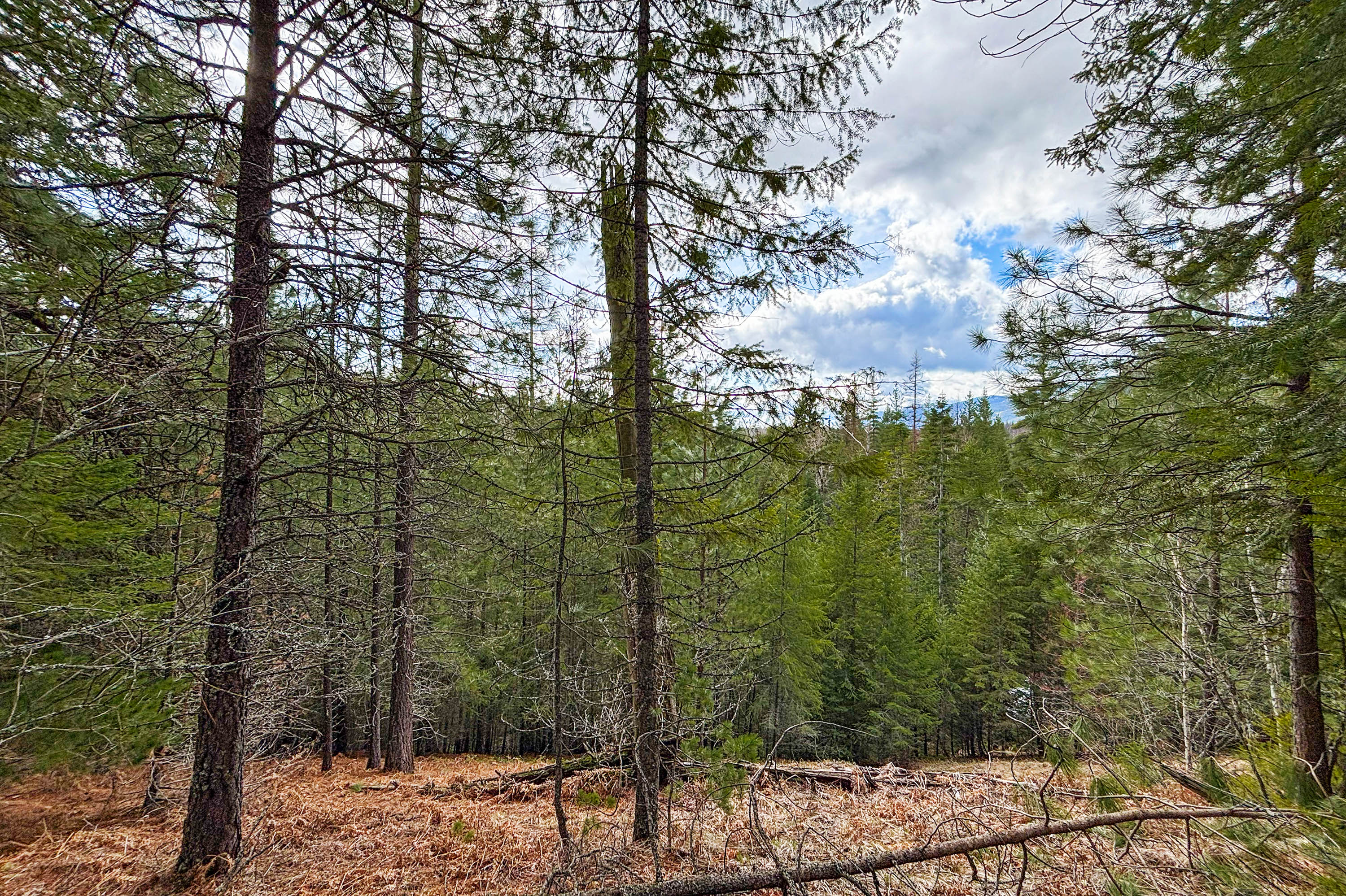 Sandpoint, Idaho, 83864, United States, ,Land,For Sale,2016068