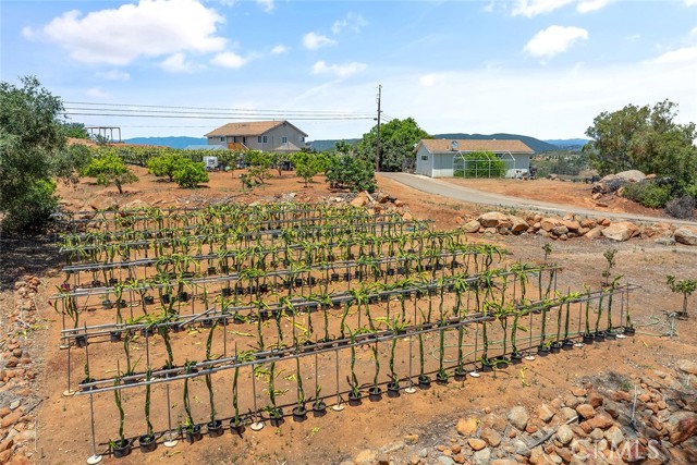 Fallbrook, California, 92028, United States, 2 Bedrooms Bedrooms, ,3 BathroomsBathrooms,Residential,For Sale,1979251