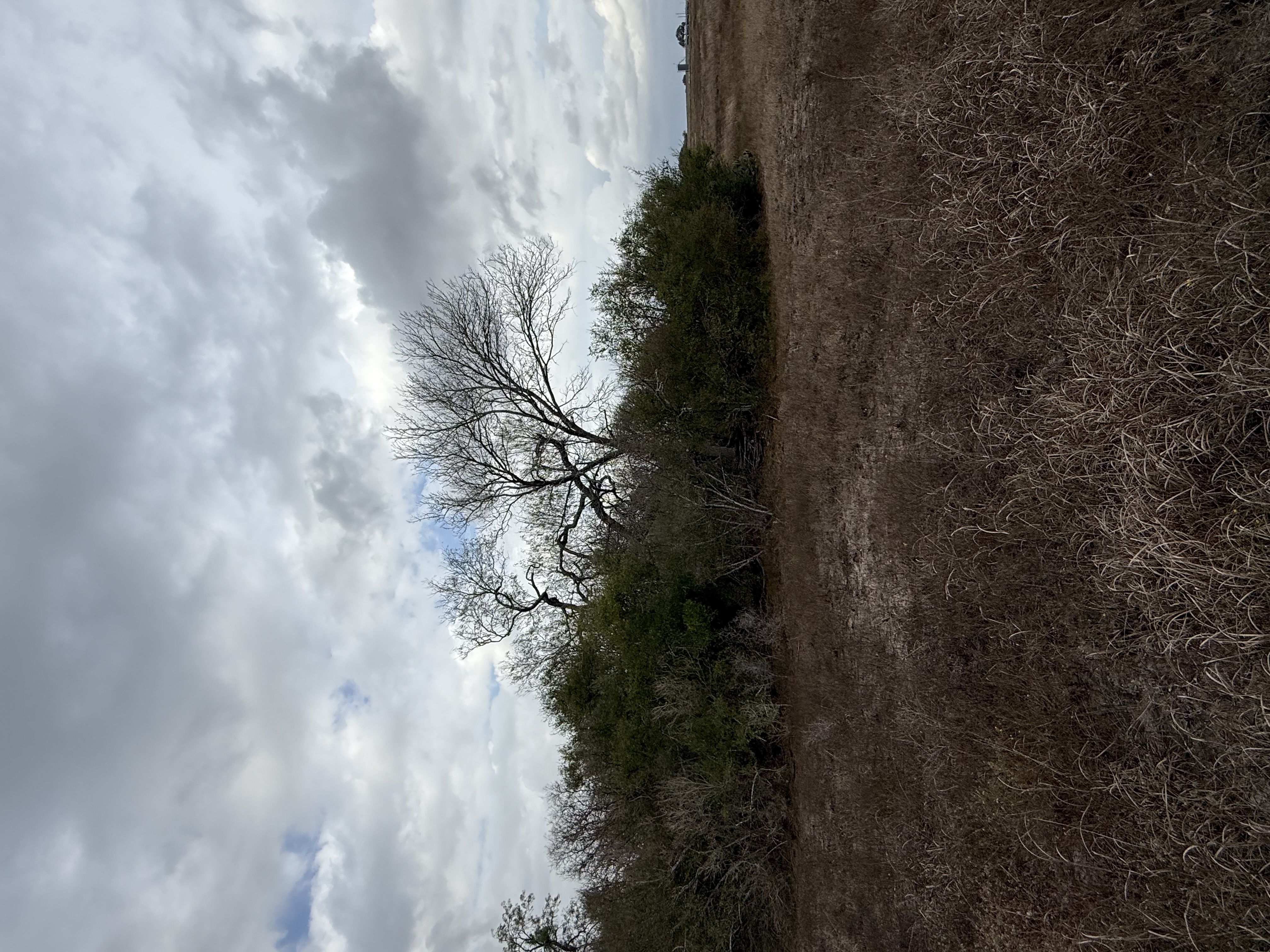 Runge, Texas, 78151, United States, 3 Bedrooms Bedrooms, ,2 BathroomsBathrooms,Residential,For Sale,1996621