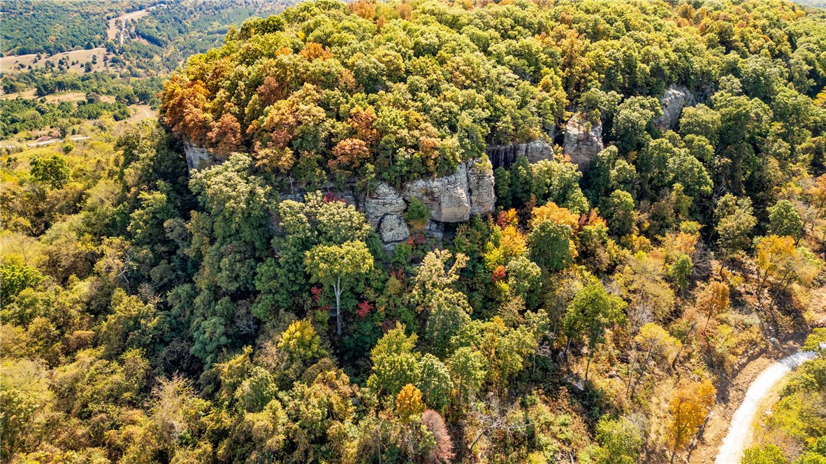 Harrison, Arkansas, 72601, United States, ,Land,For Sale,1903460