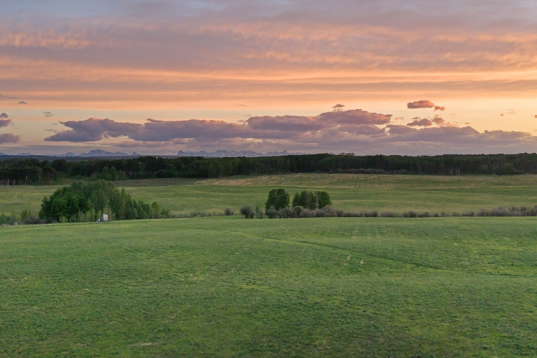  Rural Mountain View County, Mountain View - 物件實景