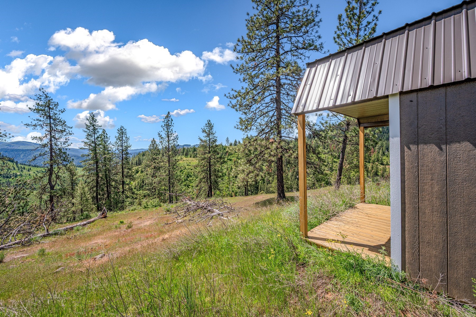  Cabins on 17ac. Surrounded by Lumber Land - 物件實景