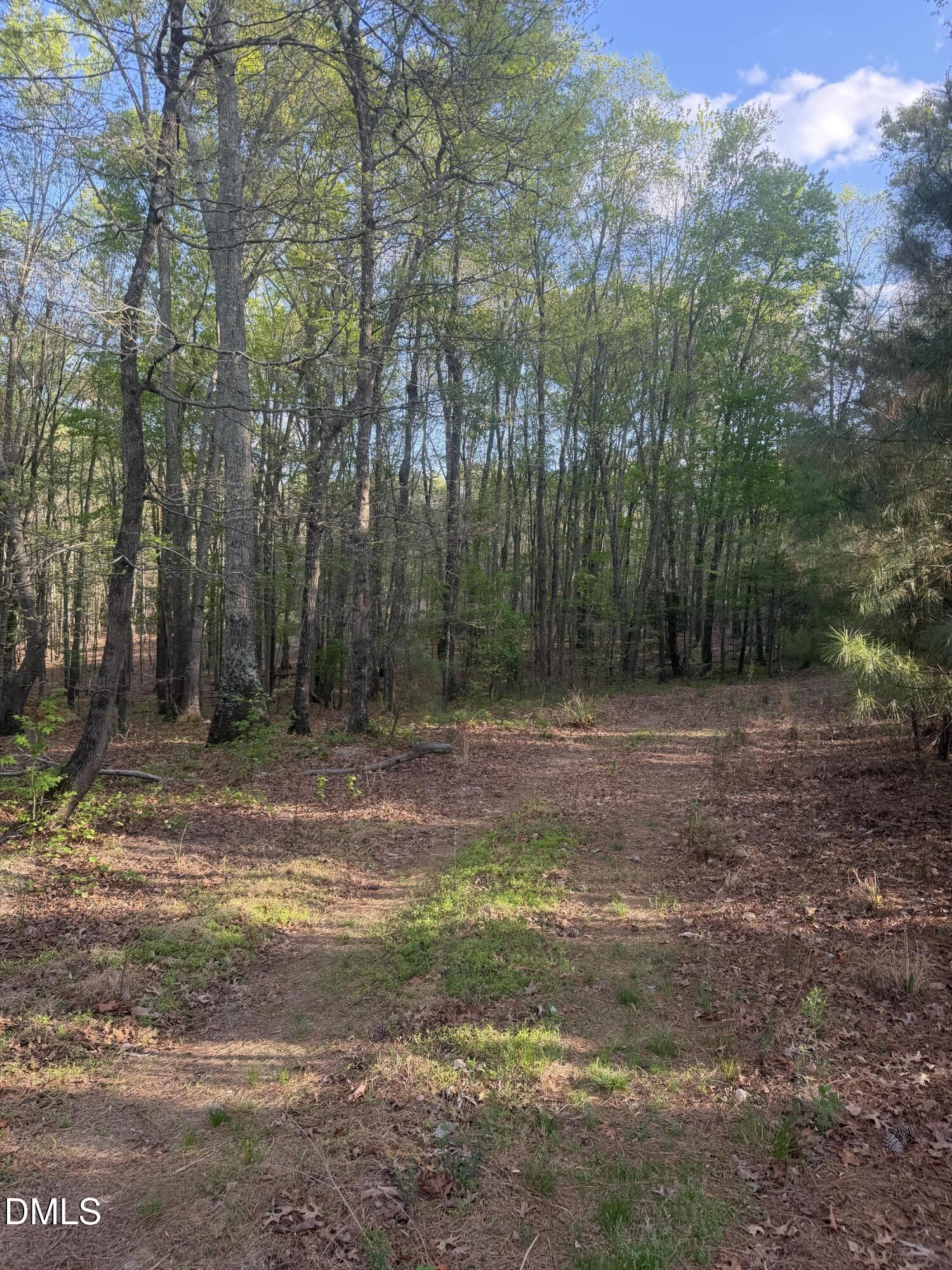Holly Springs, North Carolina, 27540, United States, ,Land,For Sale,2042355