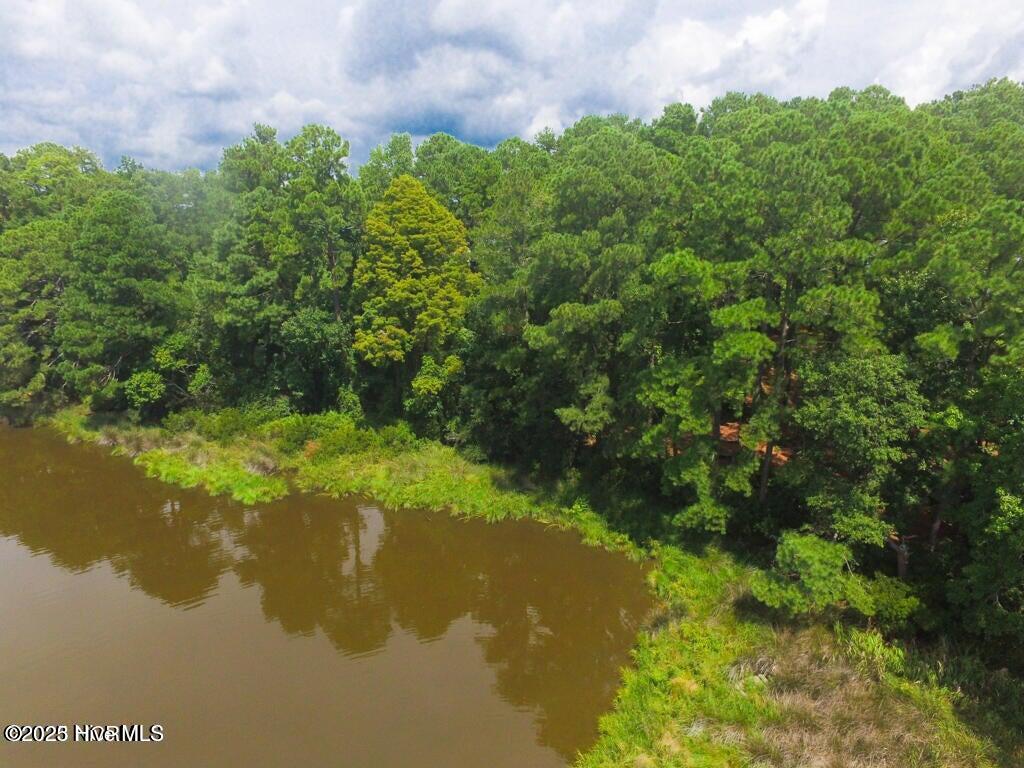 Bath, North Carolina, 27808, United States, ,Land,For Sale,1895409