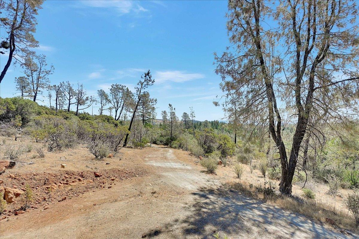 Oregon House, California, 95962, United States, ,Land,For Sale,1975767