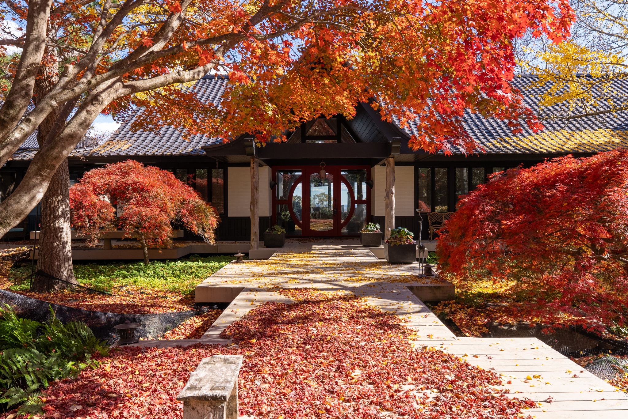  110 Huckleberry Ridge, Greenville, SC 29609 - 物件實景