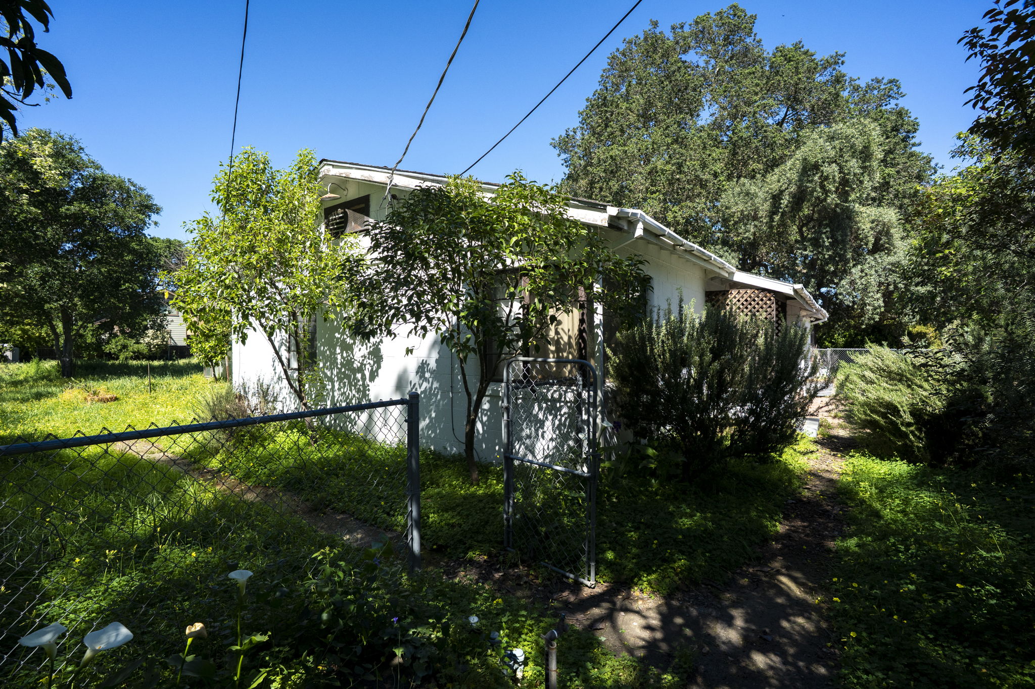  1446 Sulphur Springs Ave - Saint Helena - 物件實景