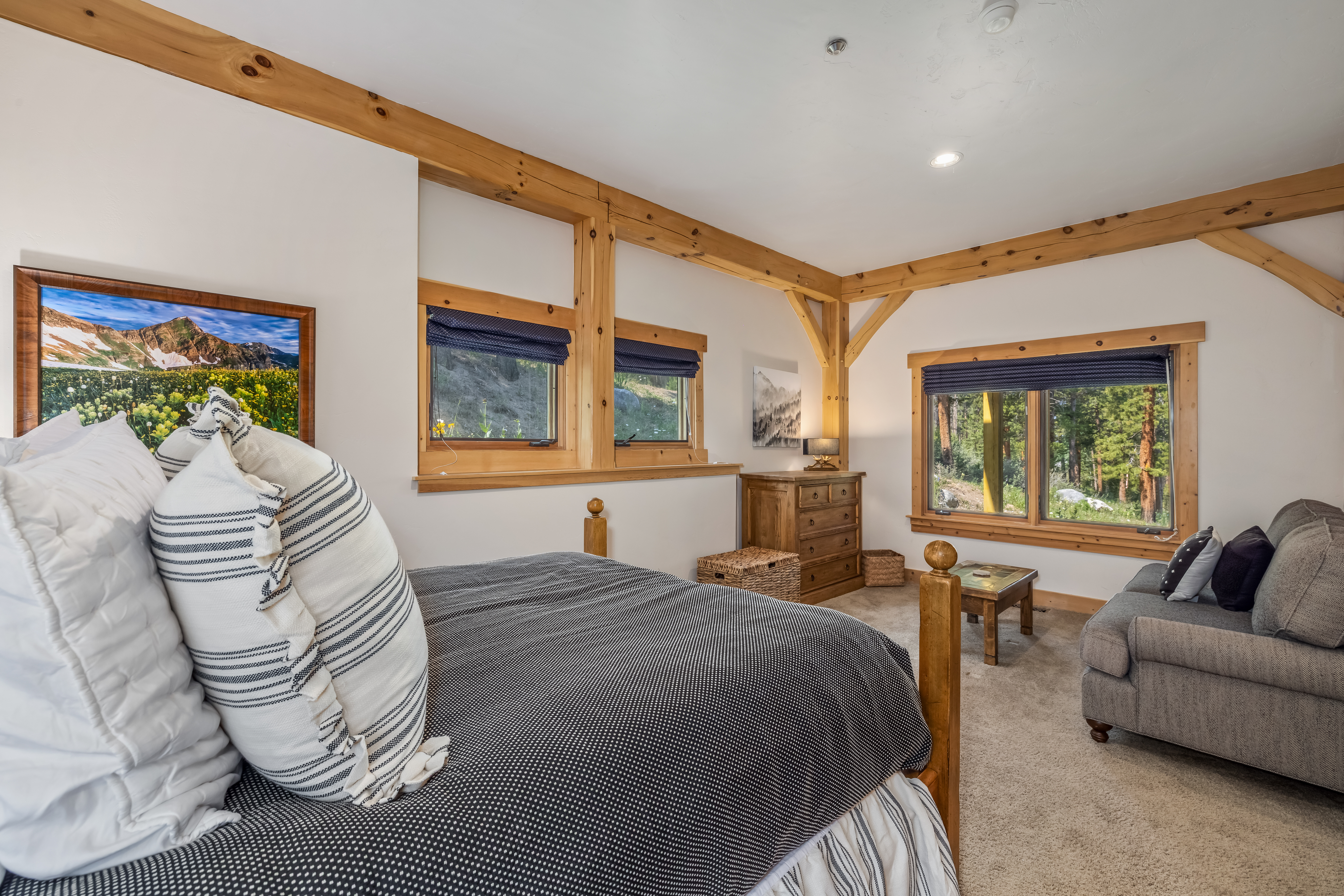  157 Outta Bounds Drive, Breckenridge, CO, 80424 - 物件實景