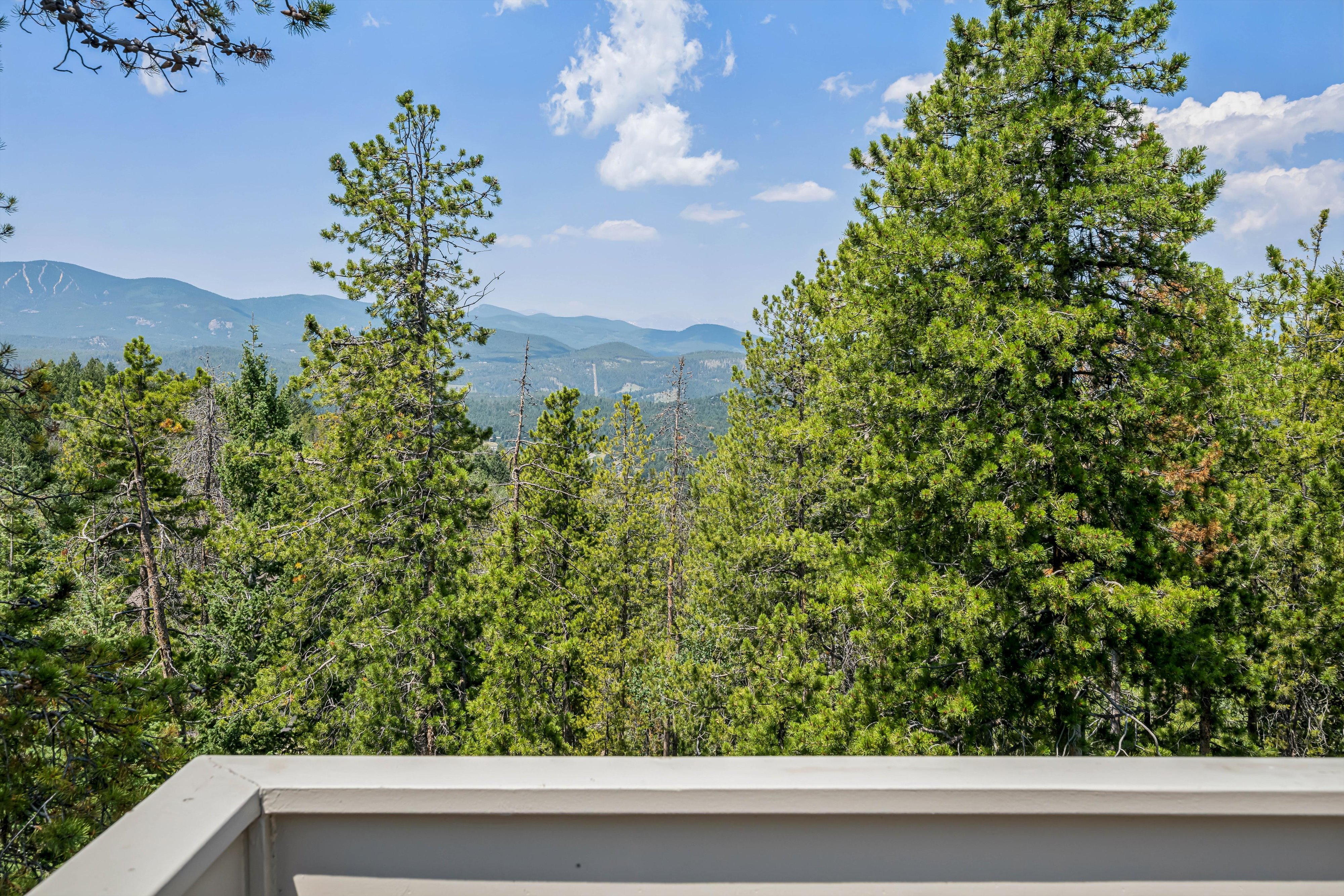  Colorado Mountain Living on 5.29 Wood/Sloping Acres - 物件實景