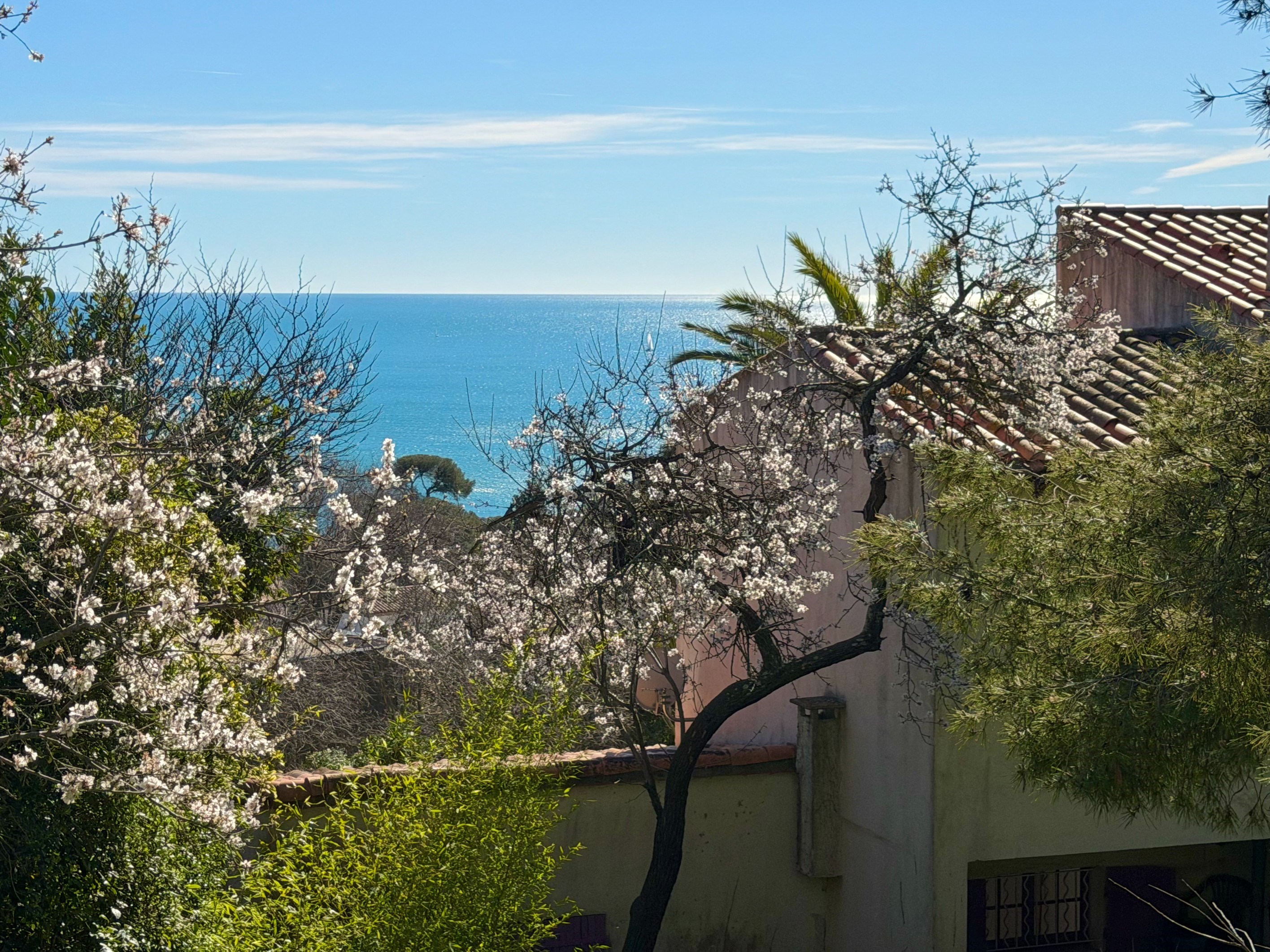  Saint-Clair, Panoramic View of the Mediterranean - 物件實景