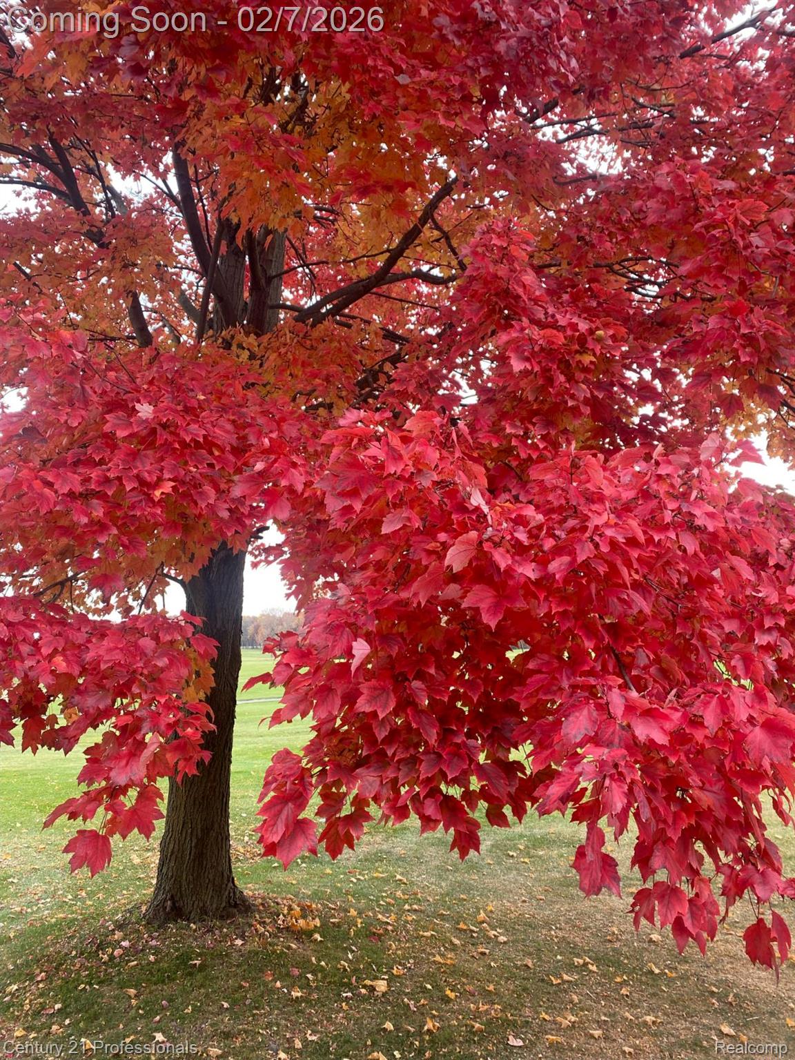 NewHudson, Michigan, 48165, United States, 3 Bedrooms Bedrooms, ,2 BathroomsBathrooms,Residential,For Sale,2014527