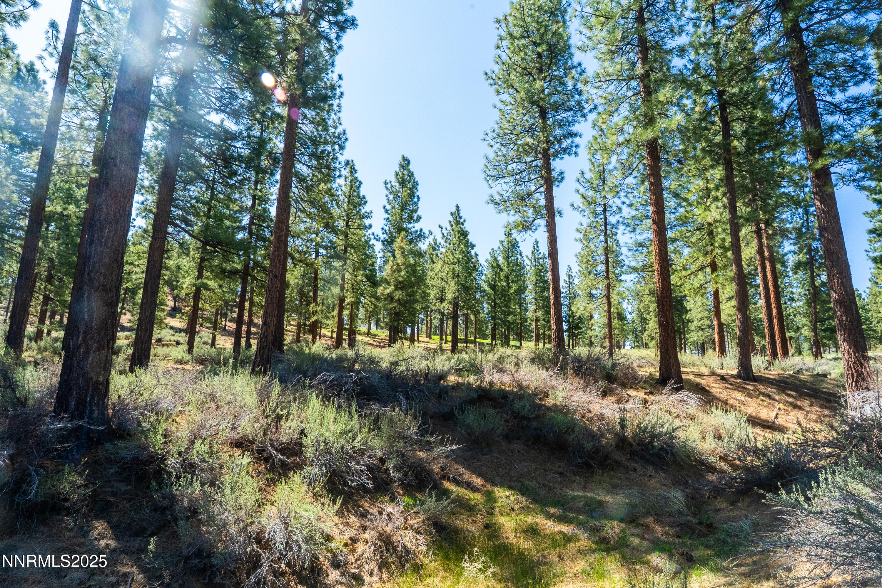 Carson City, Nevada, 89705, United States, ,Land,For Sale,1846834