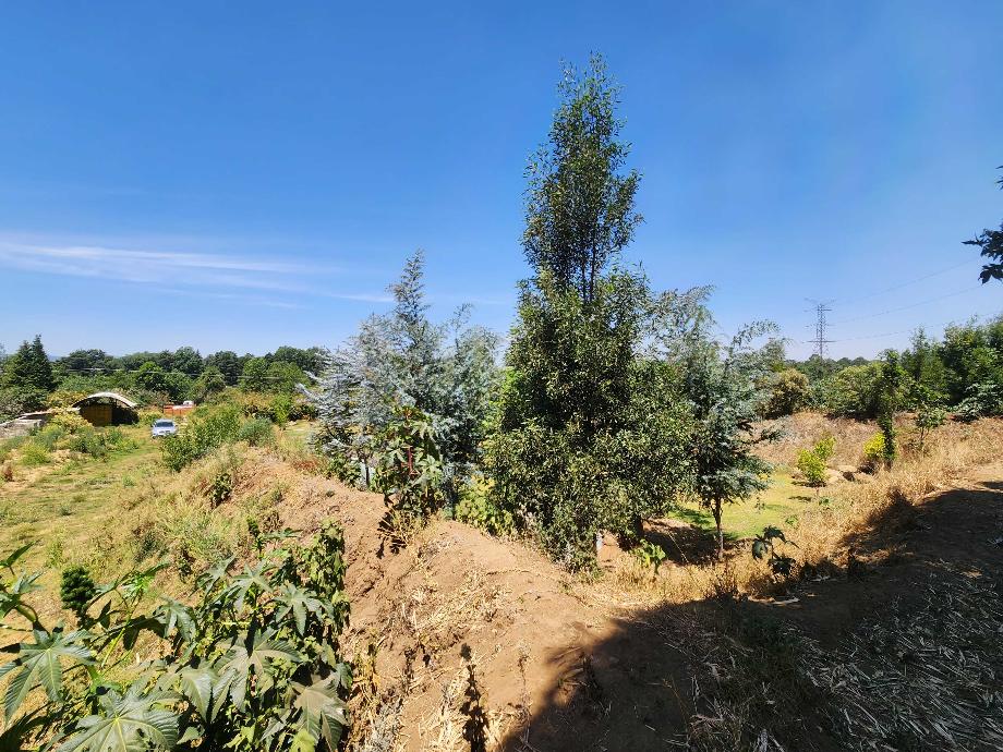 Valle de Bravo, Estado de méxico, 51200, Mexico, 1 Bedroom Bedrooms, ,Residential,For Sale,1806019