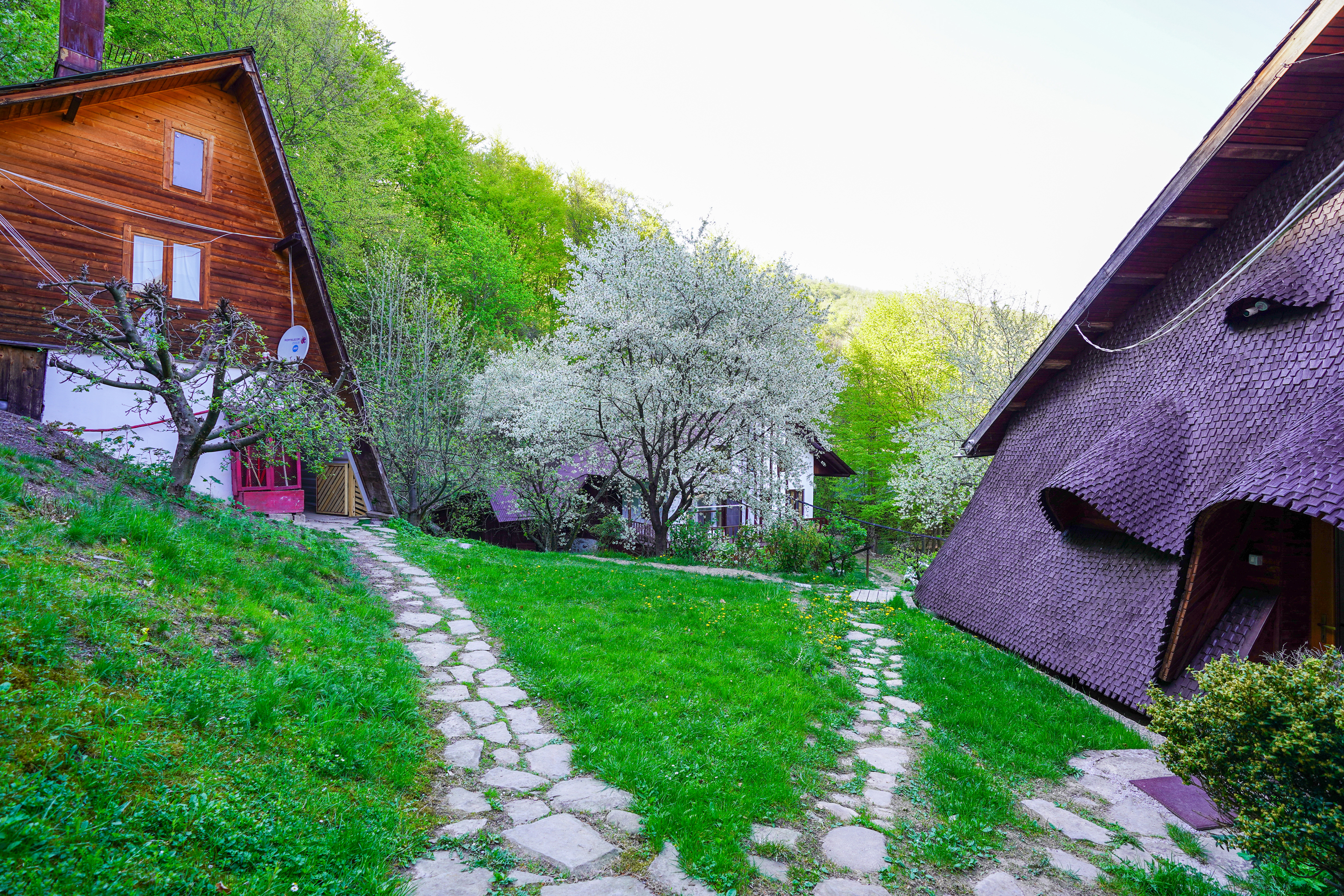  ?Casa Tisaru? - A Versatile Retreat in the Heart of Nature - 物件實景