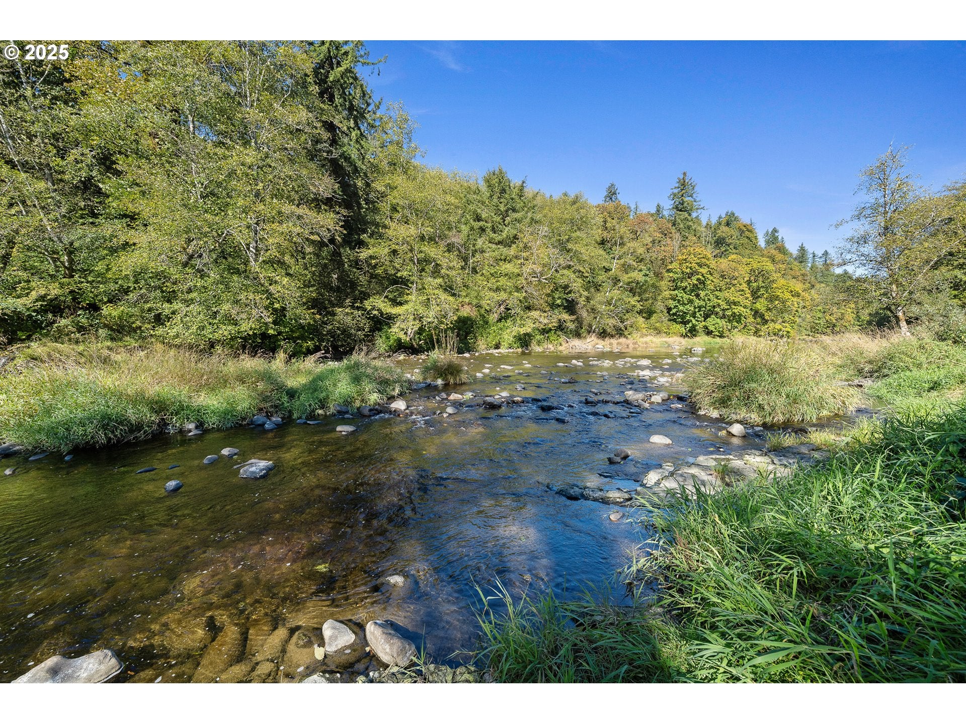 Beaver, Oregon, 97108, United States, 4 Bedrooms Bedrooms, ,2 BathroomsBathrooms,Residential,For Sale,1991728