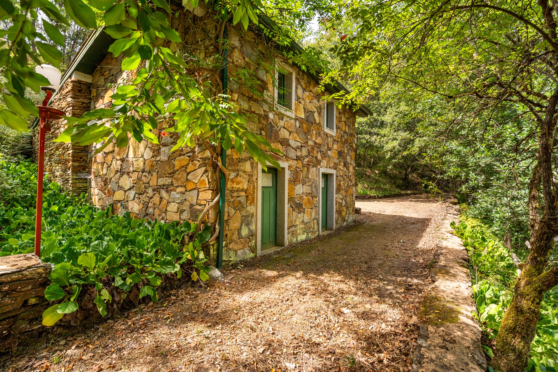  Farm, 5 bedrooms, for Sale - 物件實景