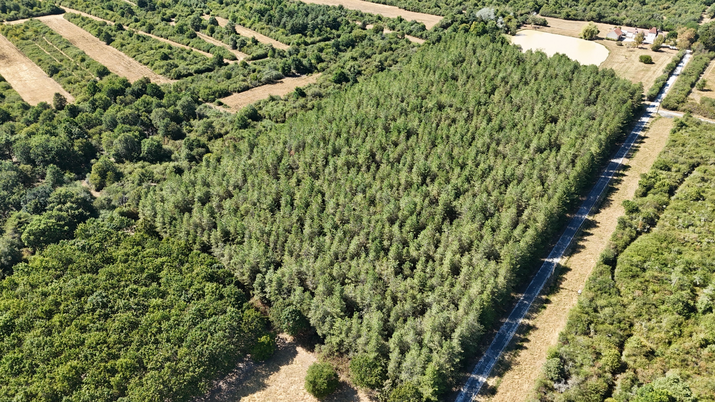  Exceptional Country Estate in the Heart of Sologne – Over 18 Hectares of Unspoi… - 物件實景