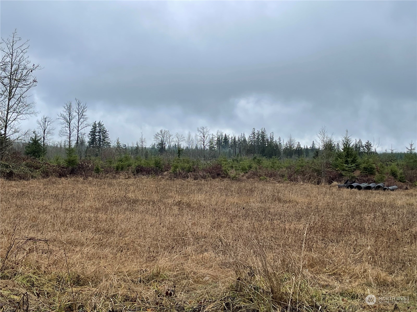 1 Xx Oppelt Road, Onalaska, Washington, 98570, United States, ,Land,For Sale,1 Xx Oppelt Road,1446946