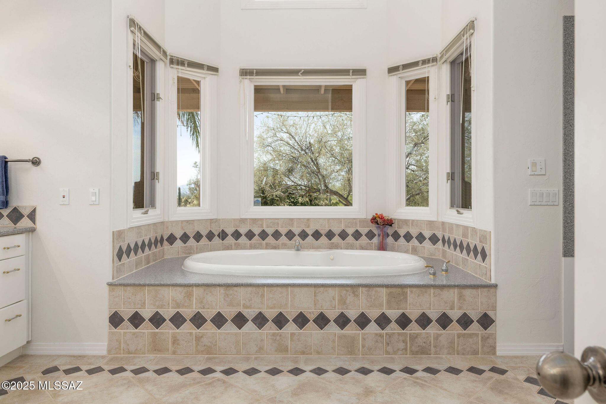 Tucson, Arizona, 85742, United States, 6 Bedrooms Bedrooms, ,6 BathroomsBathrooms,Residential,For Sale,1828344