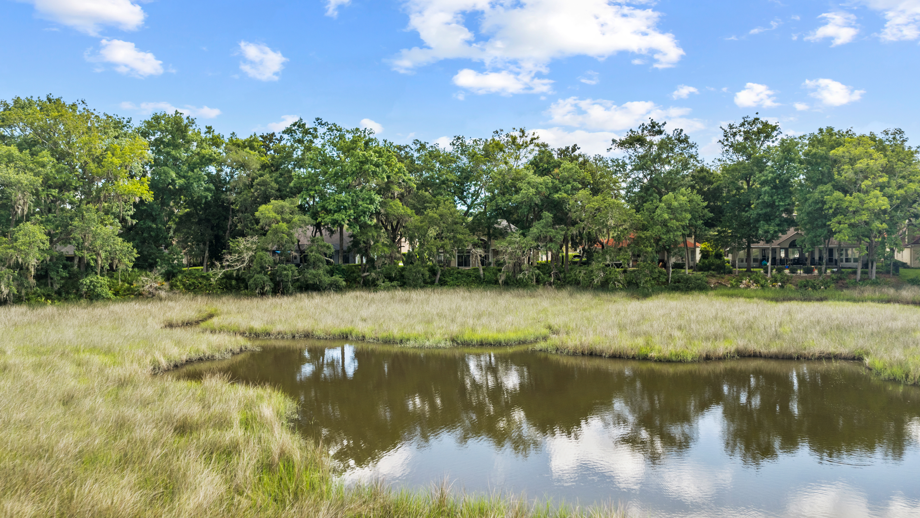  1556 Harrington Park Drive, Jacksonville, FL, 32225 - 物件實景