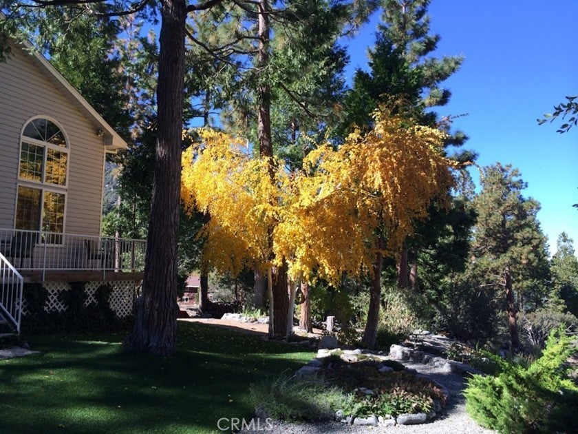 Forest Falls, California, 92339, United States, 2 Bedrooms Bedrooms, ,3 BathroomsBathrooms,Residential,For Sale,1928200