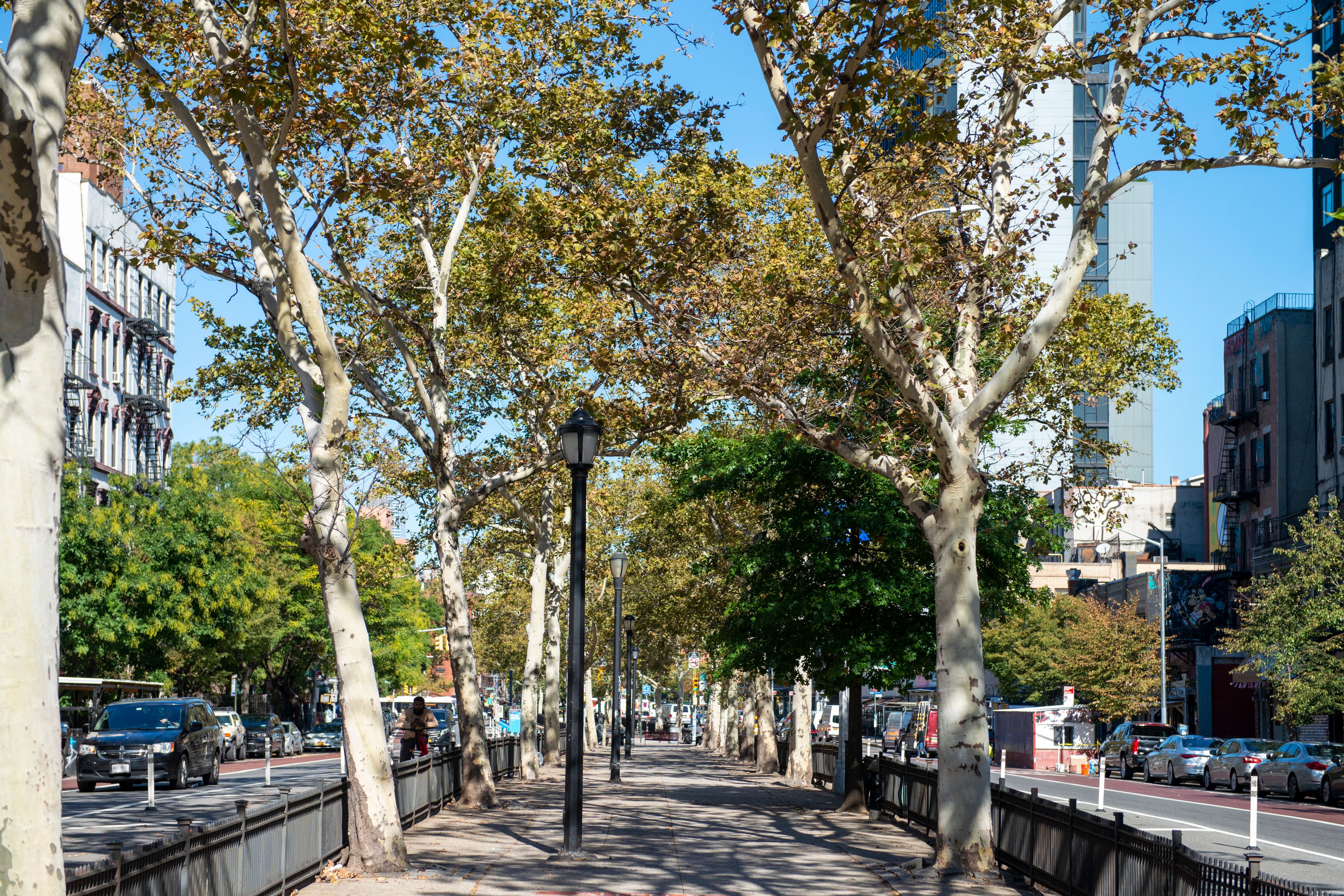  Lower East Side Hillman Co-op - 物件實景