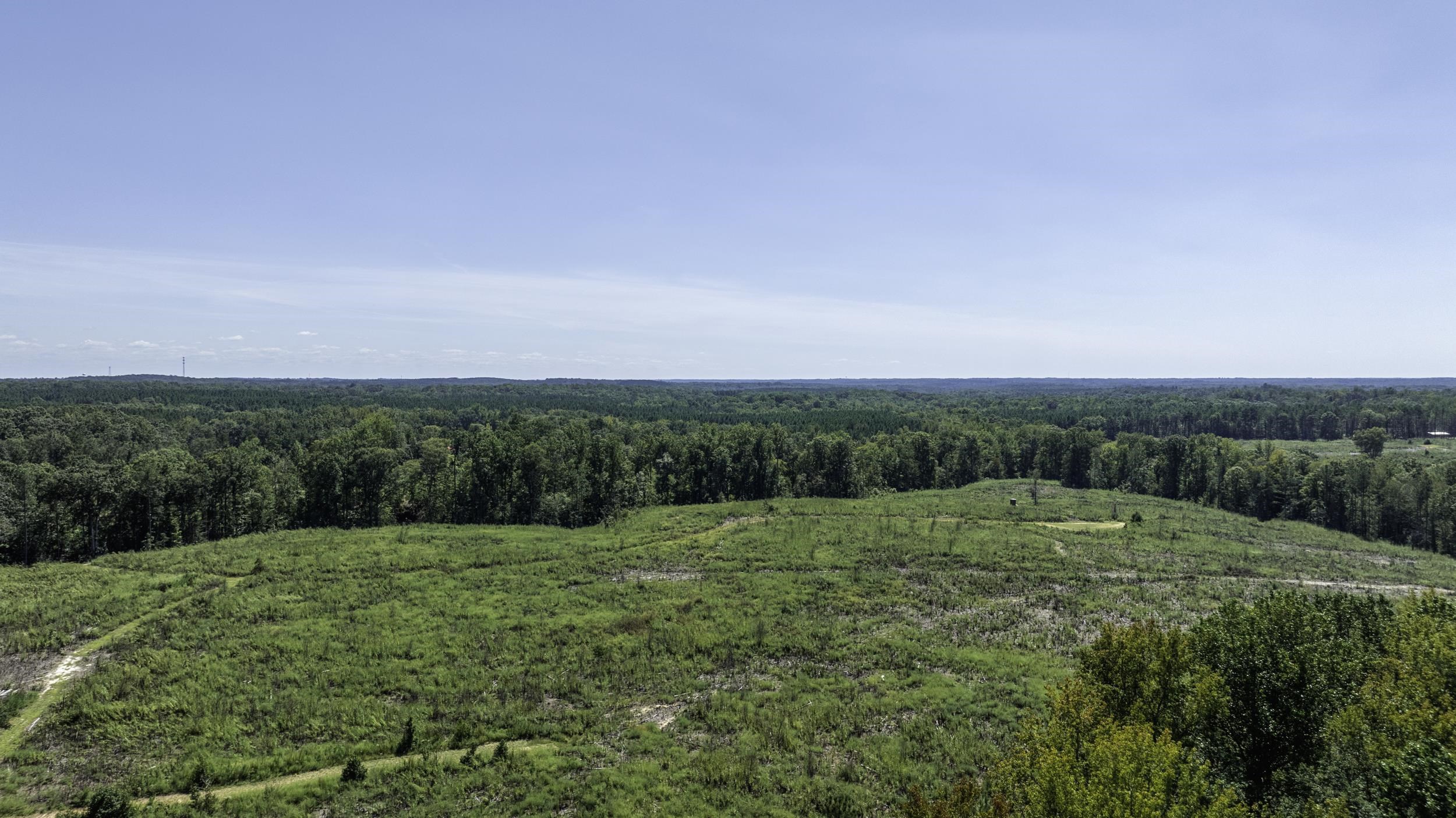 Gray Court, South Carolina, 29645, United States, ,Land,For Sale,1979531