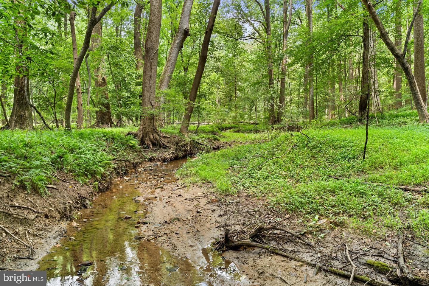 Randallstown, Maryland, 21133, United States, 1 Bedroom Bedrooms, ,1 BathroomBathrooms,Residential,For Sale,1979274