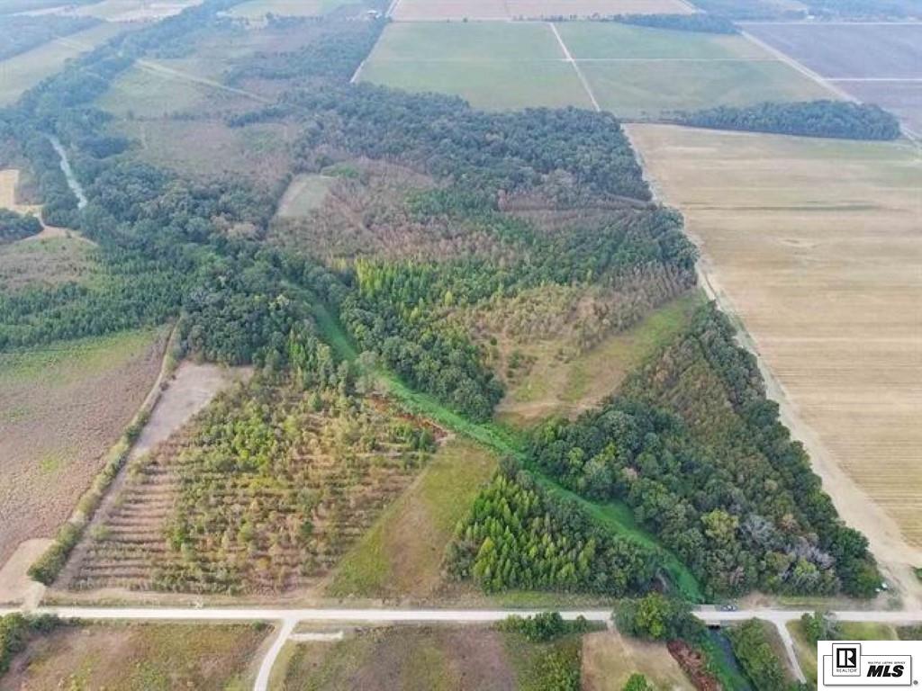 593 FORTENBERRY ROAD, Rayville, Louisiana, 71269, United States, ,Land,For Sale,593 FORTENBERRY ROAD,1683237