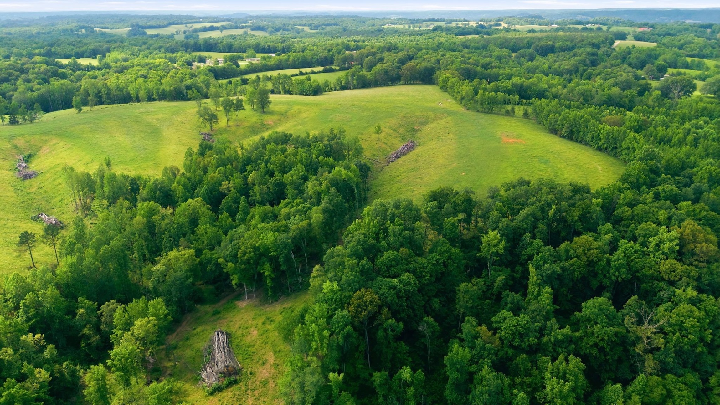  528 Sumac Rd, Pulaski, TN, 38478 - 物件實景