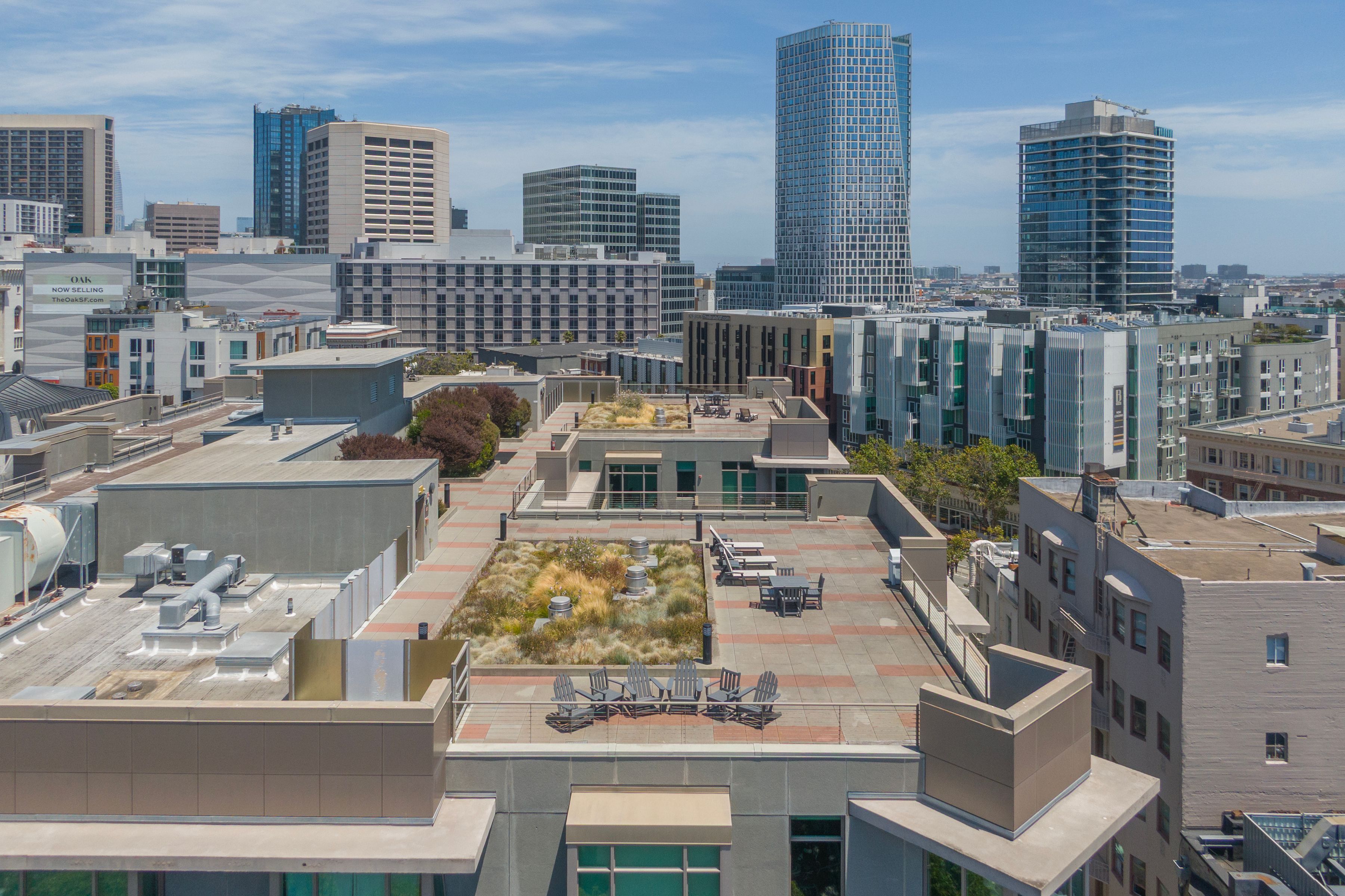  Open-Concept Hayes Valley Living - 物件實景