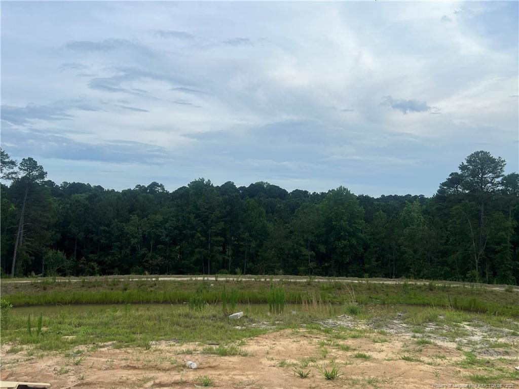 Fayetteville, North Carolina, 28311, United States, 4 Bedrooms Bedrooms, ,3 BathroomsBathrooms,Residential,For Sale,1712186