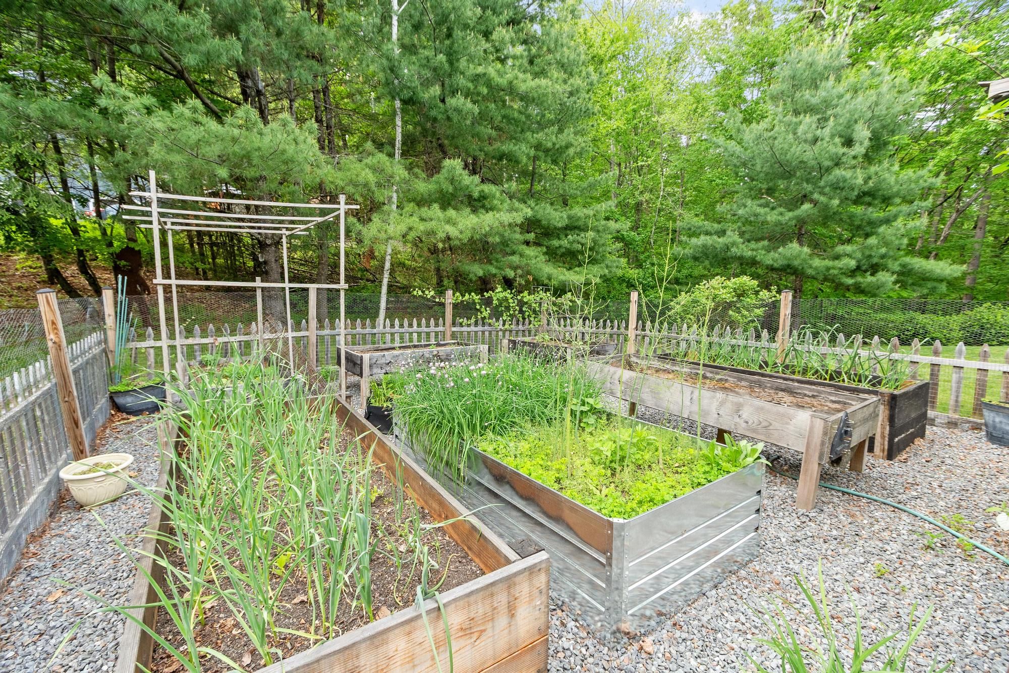  6 Baywoods Drive, Shirley, MA 01464 - 物件實景