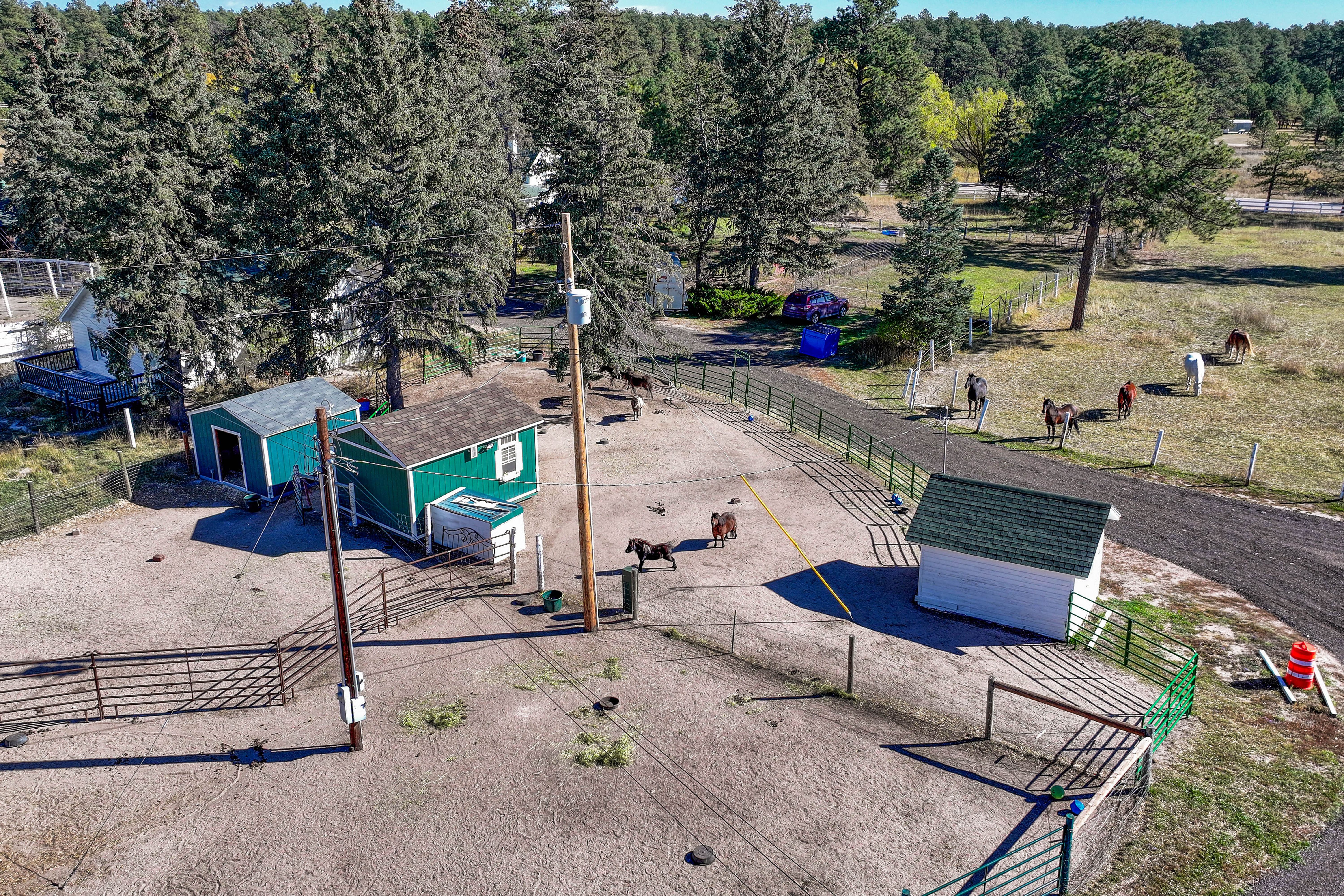  Historic Pine Run Ranch in Black Forest on rare 60 acres - 物件實景