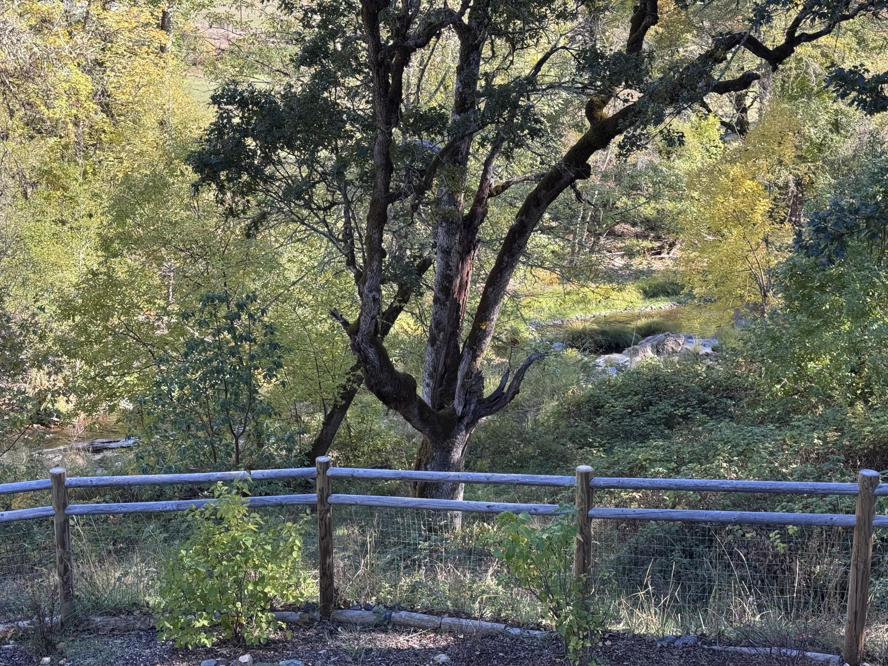 Rogue River, Oregon, 97537, United States, 3 Bedrooms Bedrooms, ,4 BathroomsBathrooms,Residential,For Sale,1982617