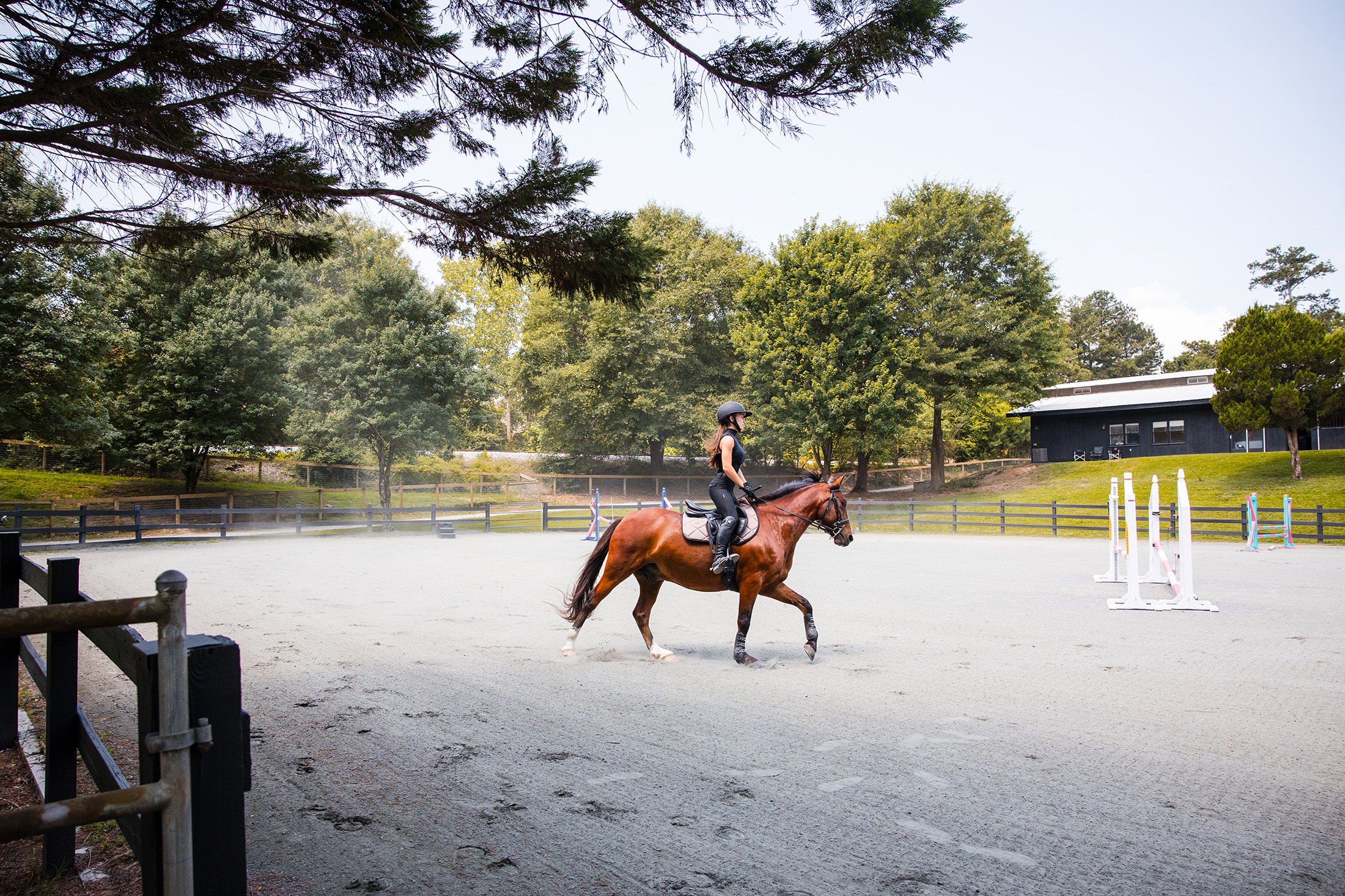  Rare Equestrian Facility with Prestigious Address - 物件實景