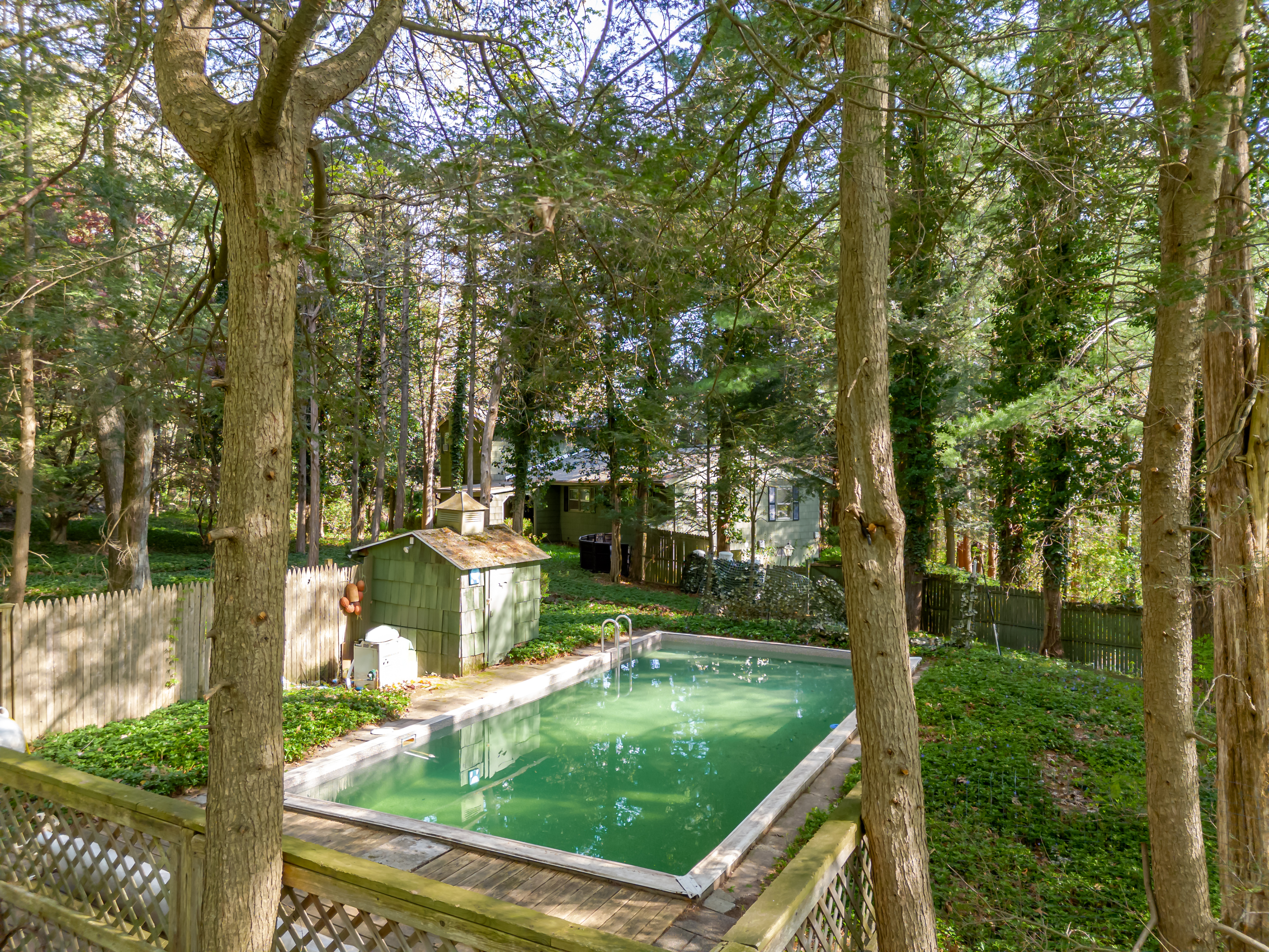  5 Bedroom Home on 2.9 Private Acres - 物件實景