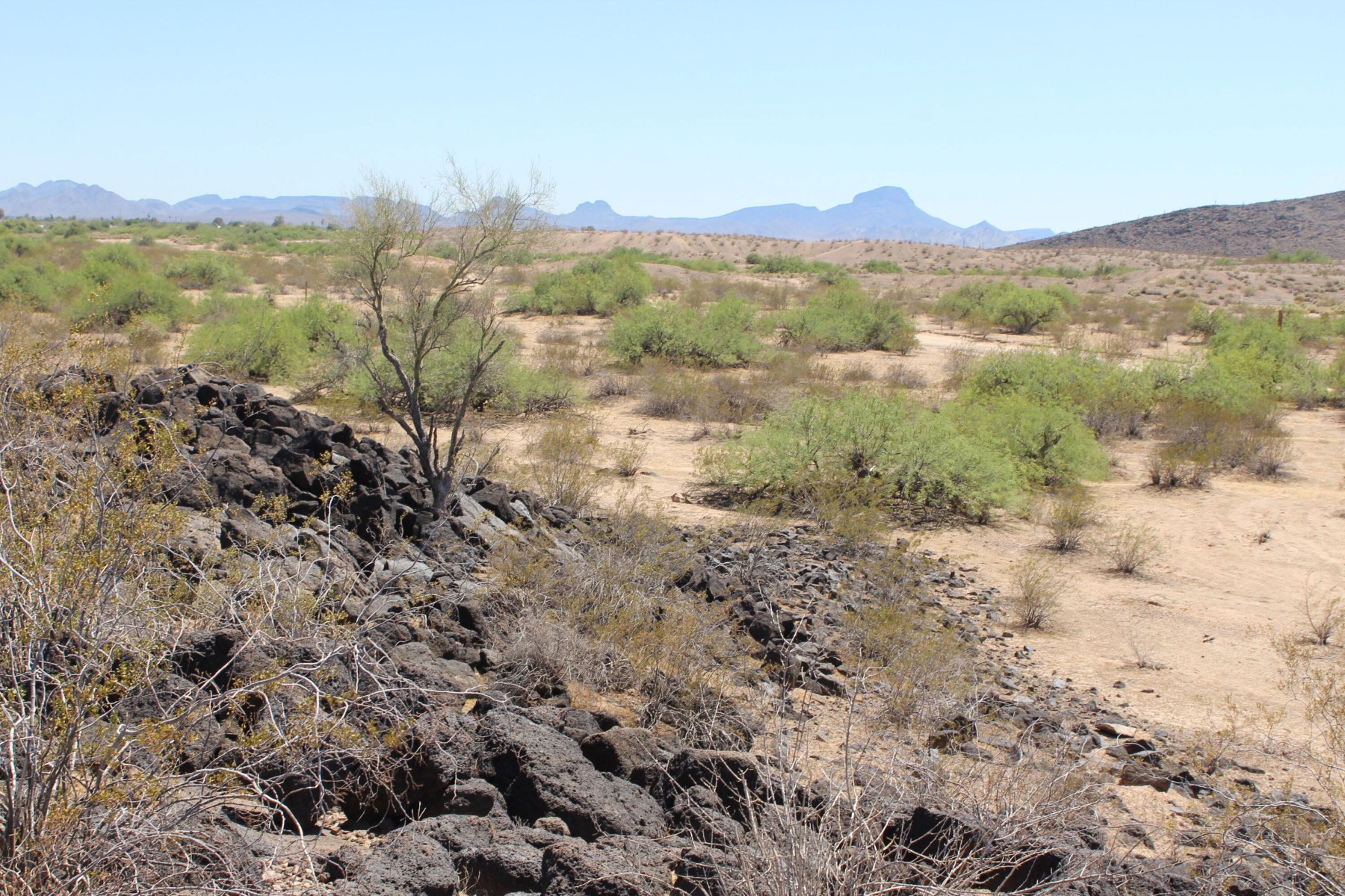  11 S 337th Avenue, Arlington, AZ, 85322 - 物件實景