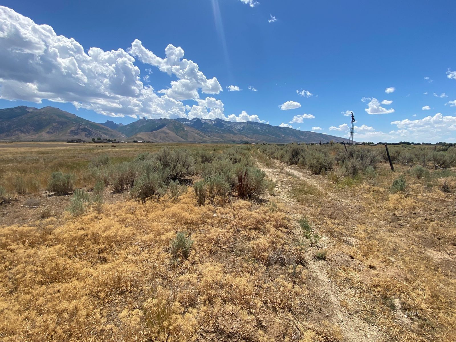 Lamoille, Nevada, 89828, United States, ,Land,For Sale,1911712
